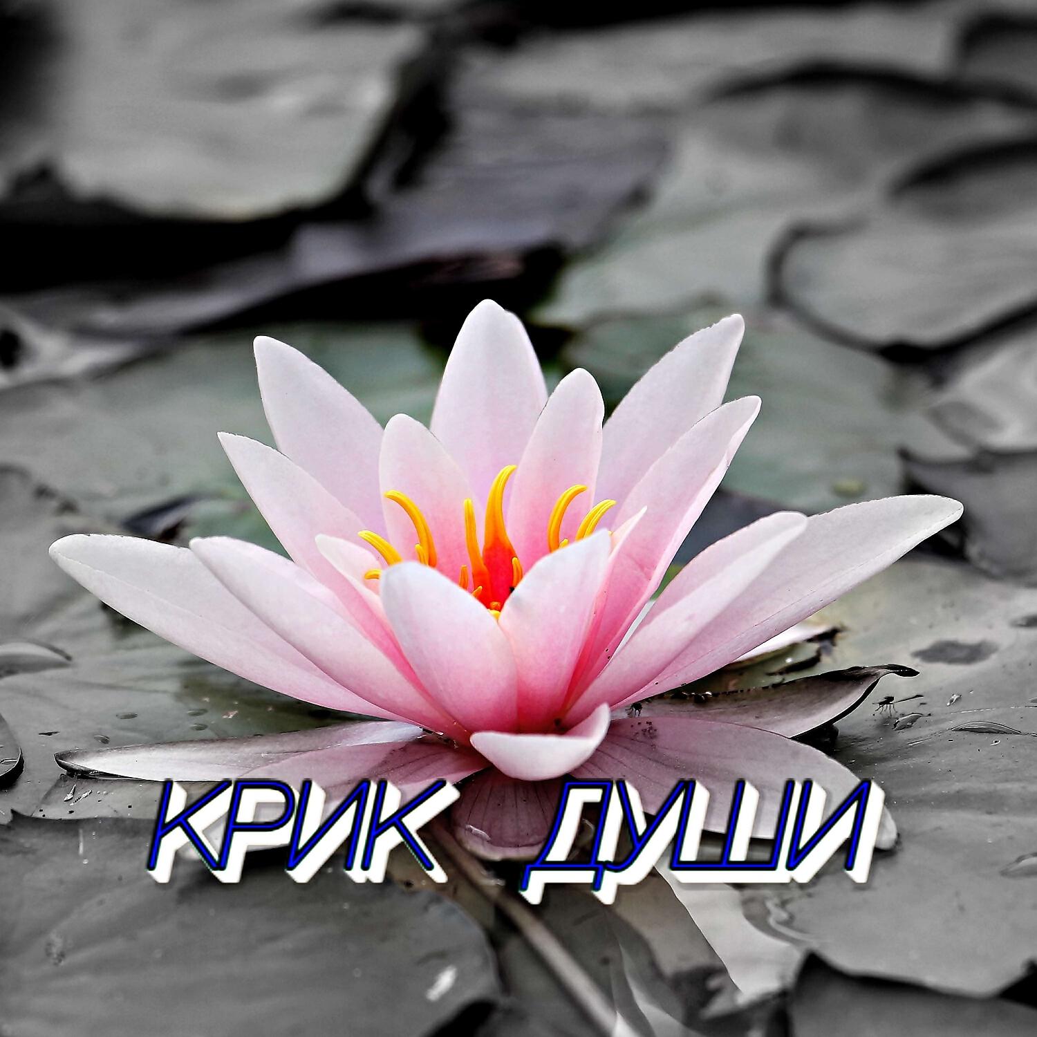 Релиз КРИК ДУШИ