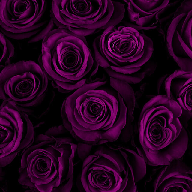 Релиз In My Head