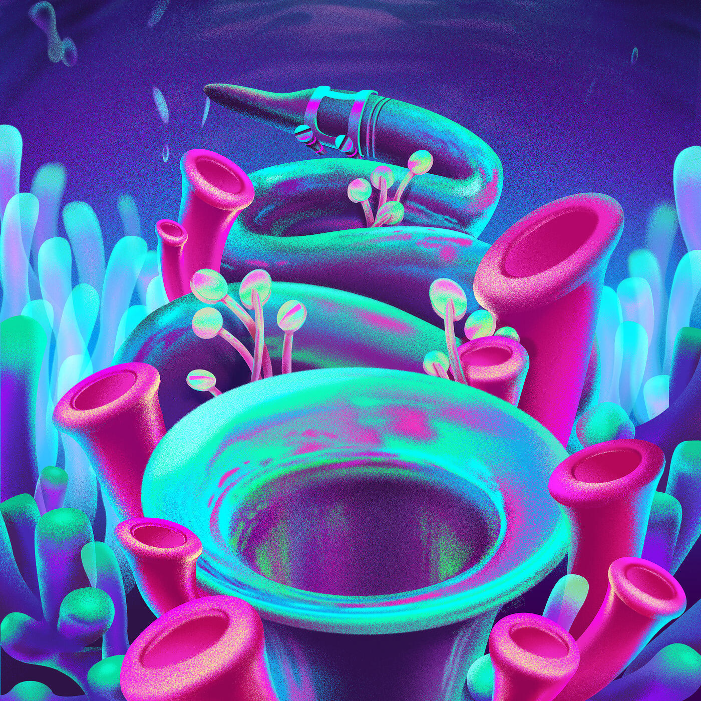 Релиз Coral Jazz
