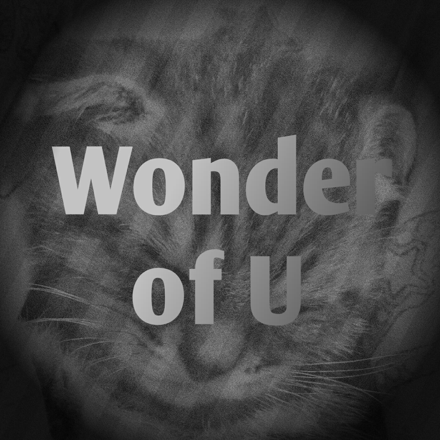 Релиз Wonder of U