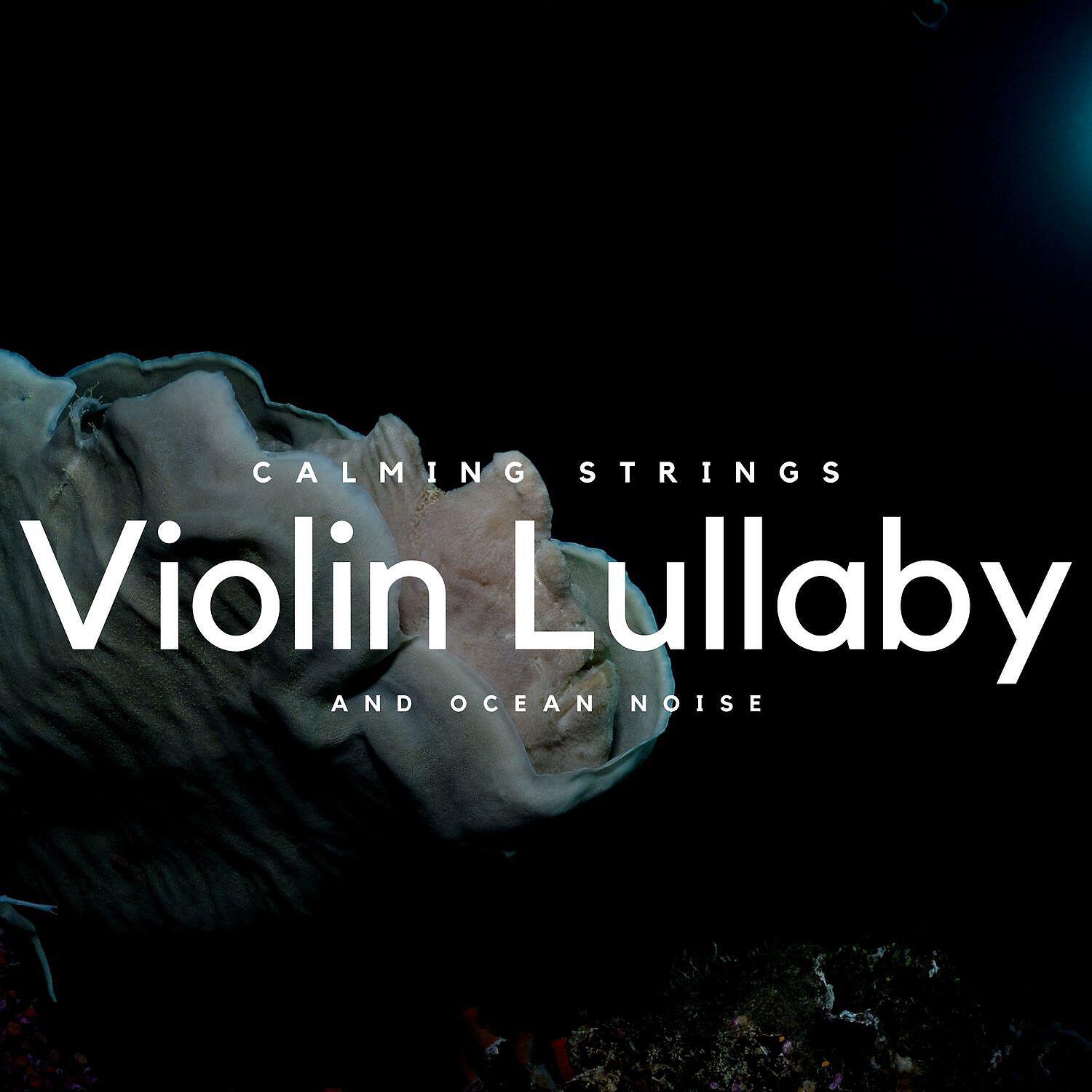 Релиз Violin Lullaby and Ocean Noise