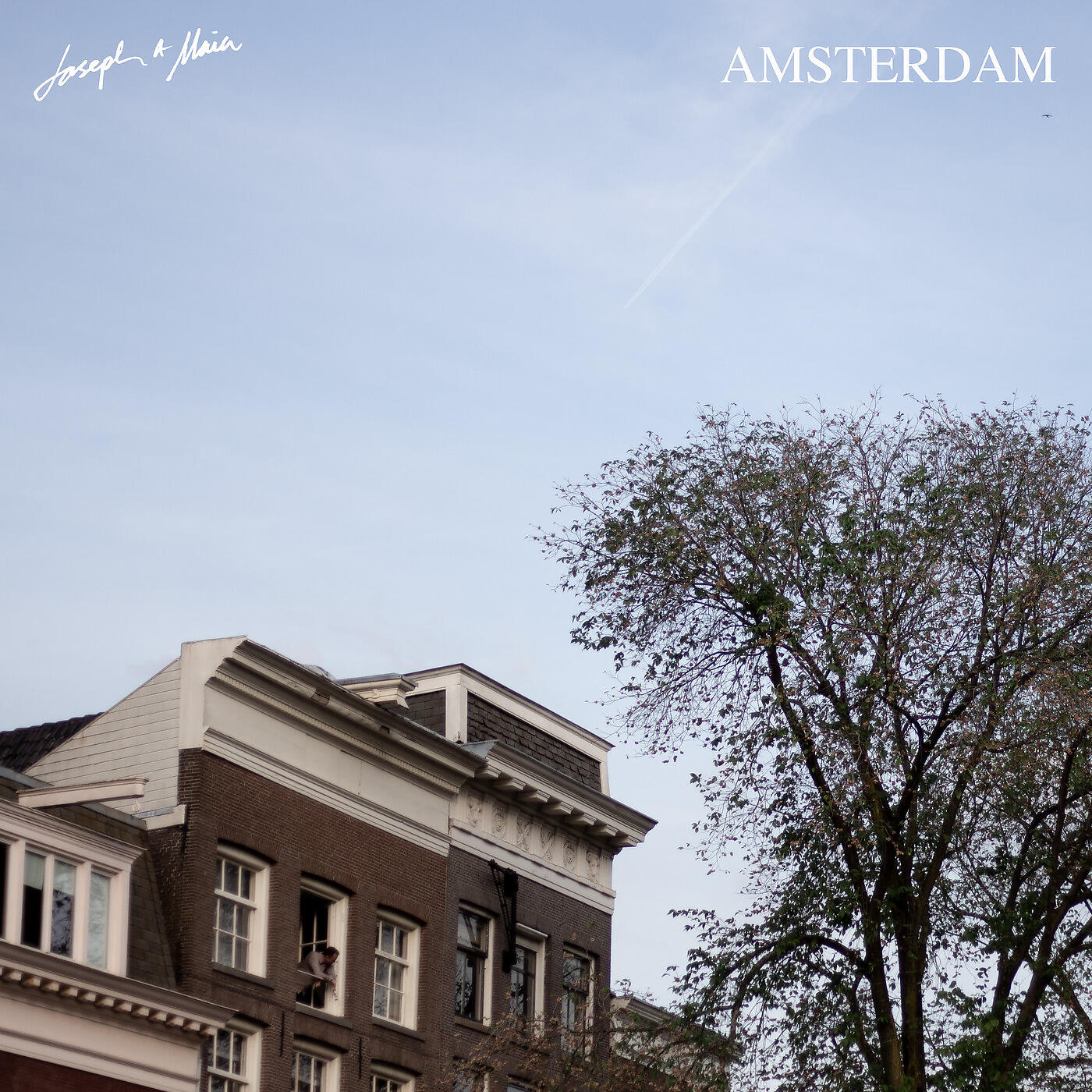 Релиз Amsterdam
