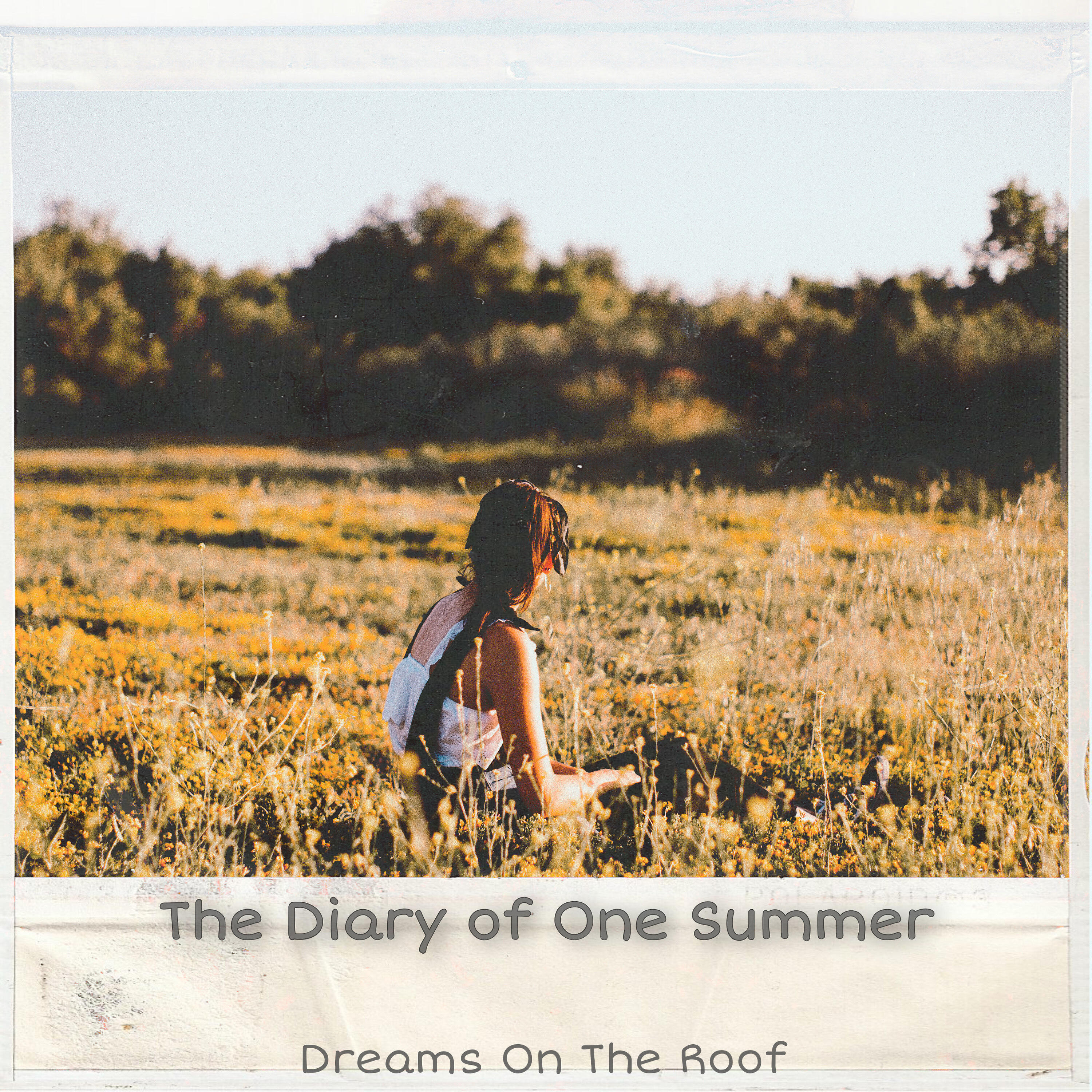 Релиз The Diary of One Summer