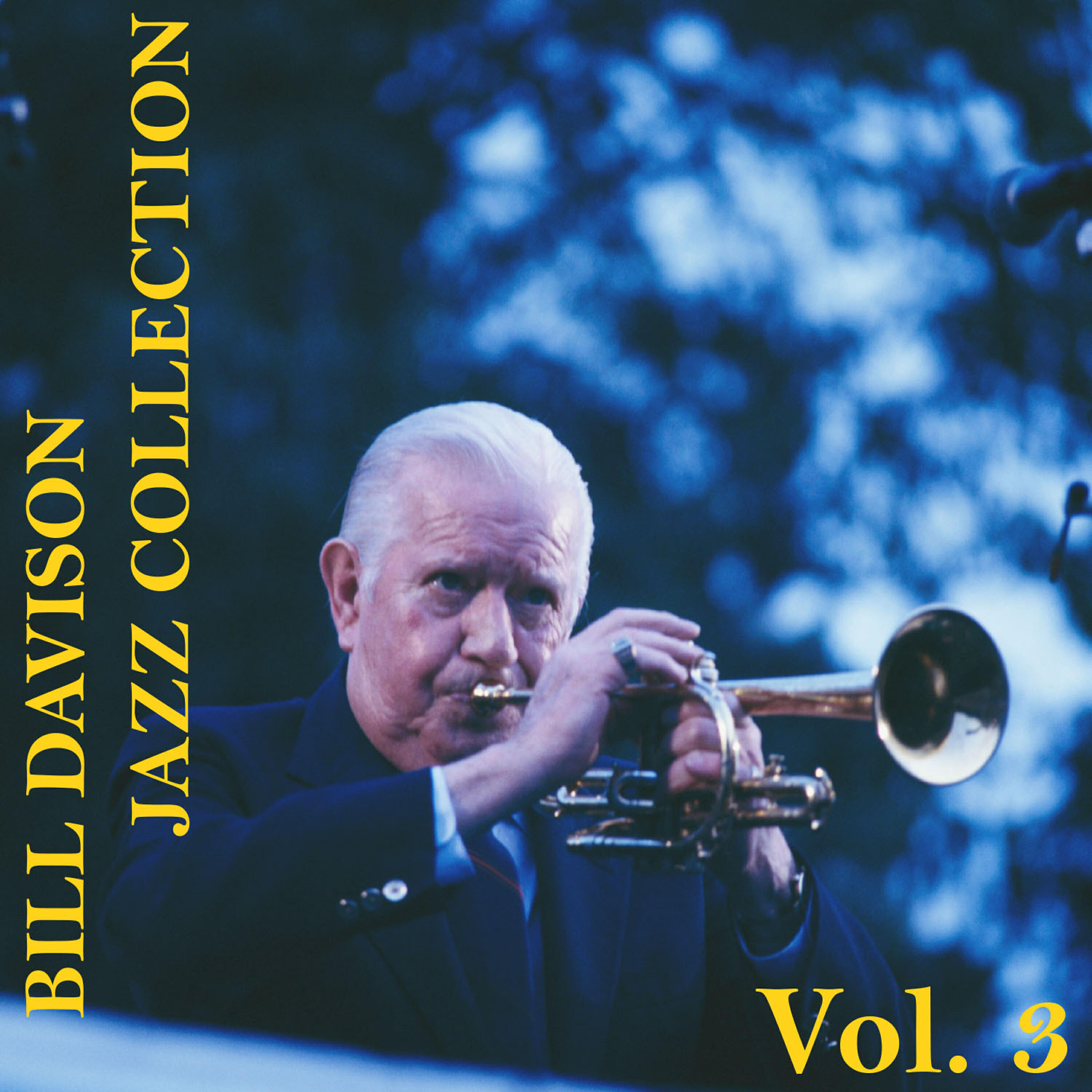 Bill Davision