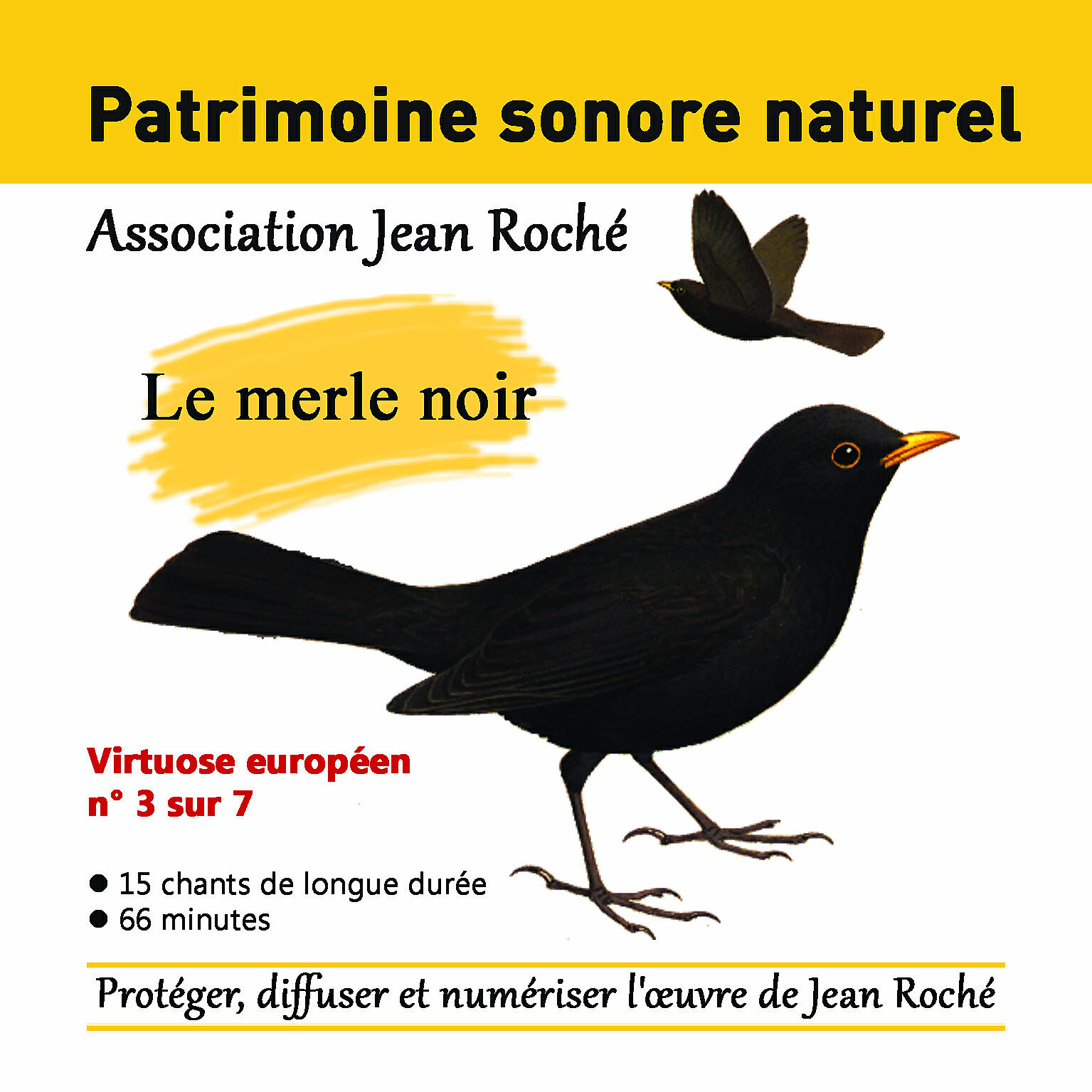 Релиз Patrimoine Sonore Naturel - Le Merle Noir