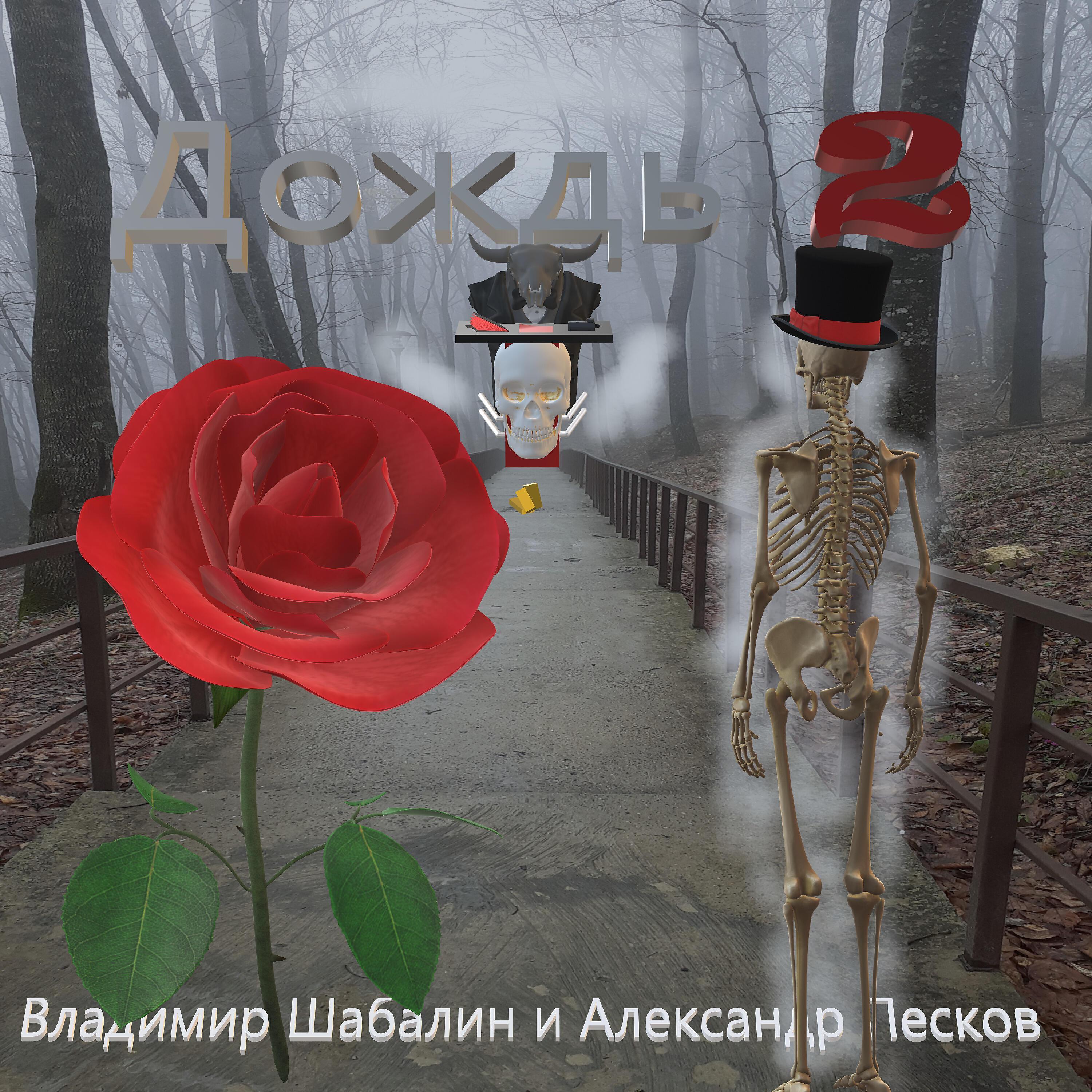 Владимир Шабалин