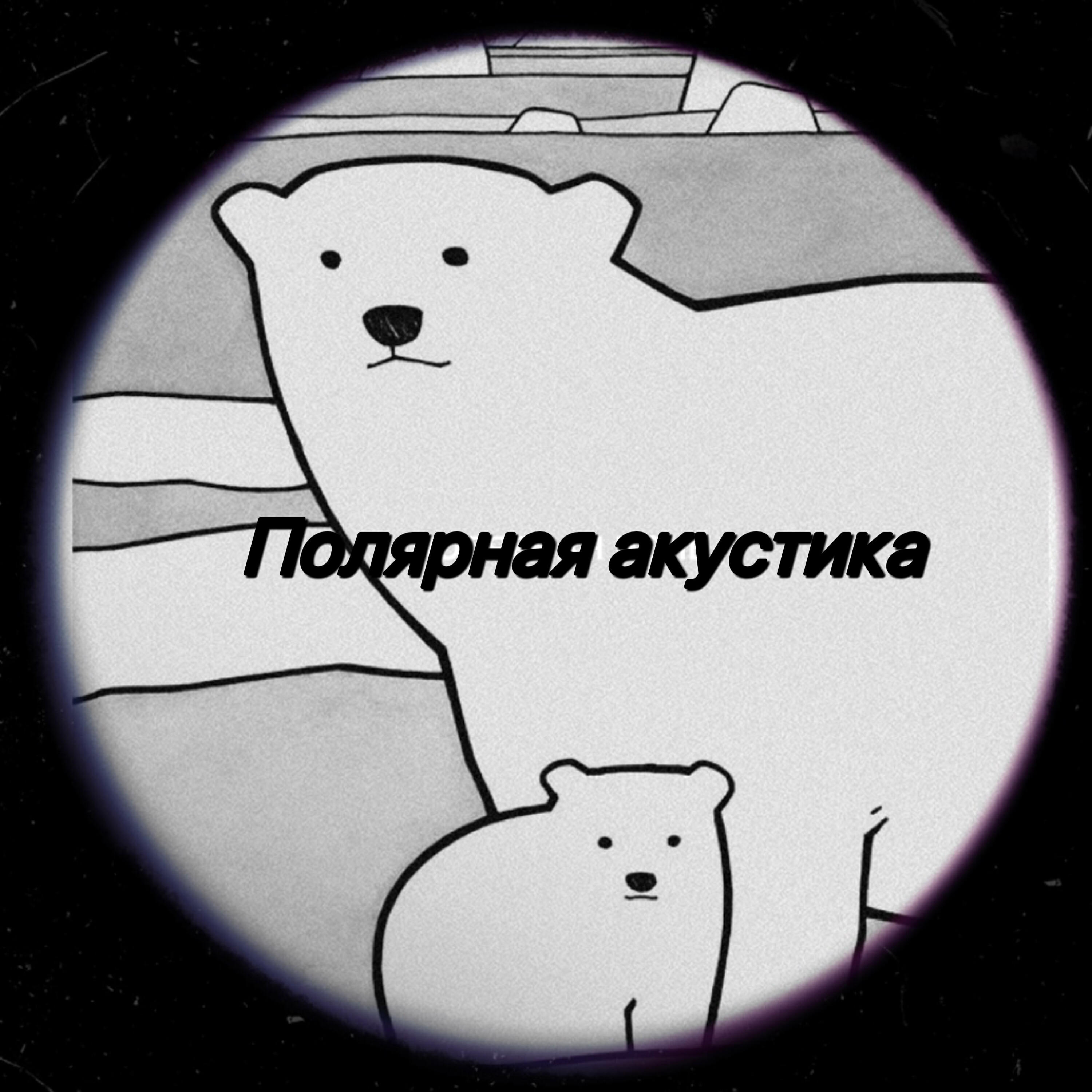 Релиз Полярная акустика