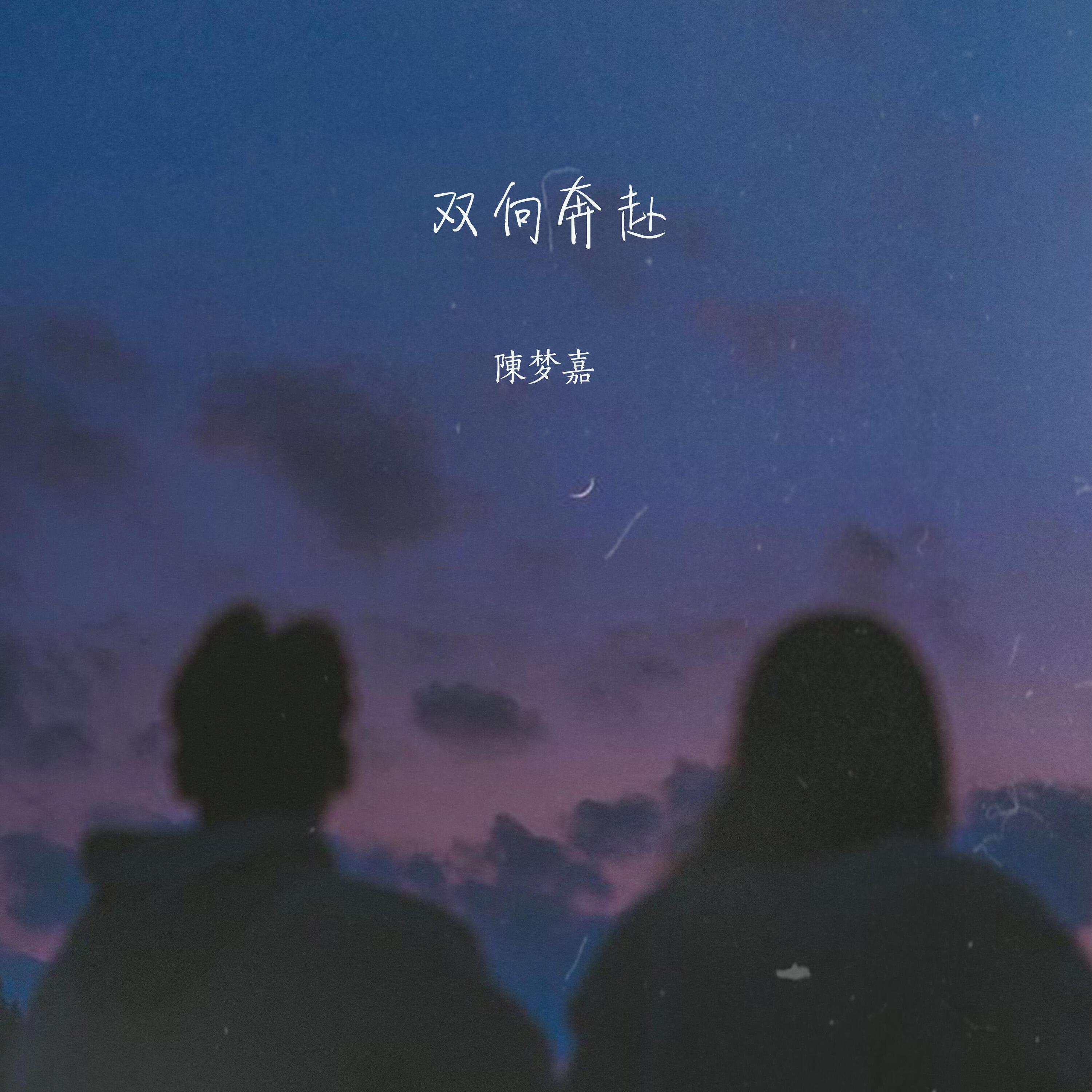 Релиз 双向奔赴