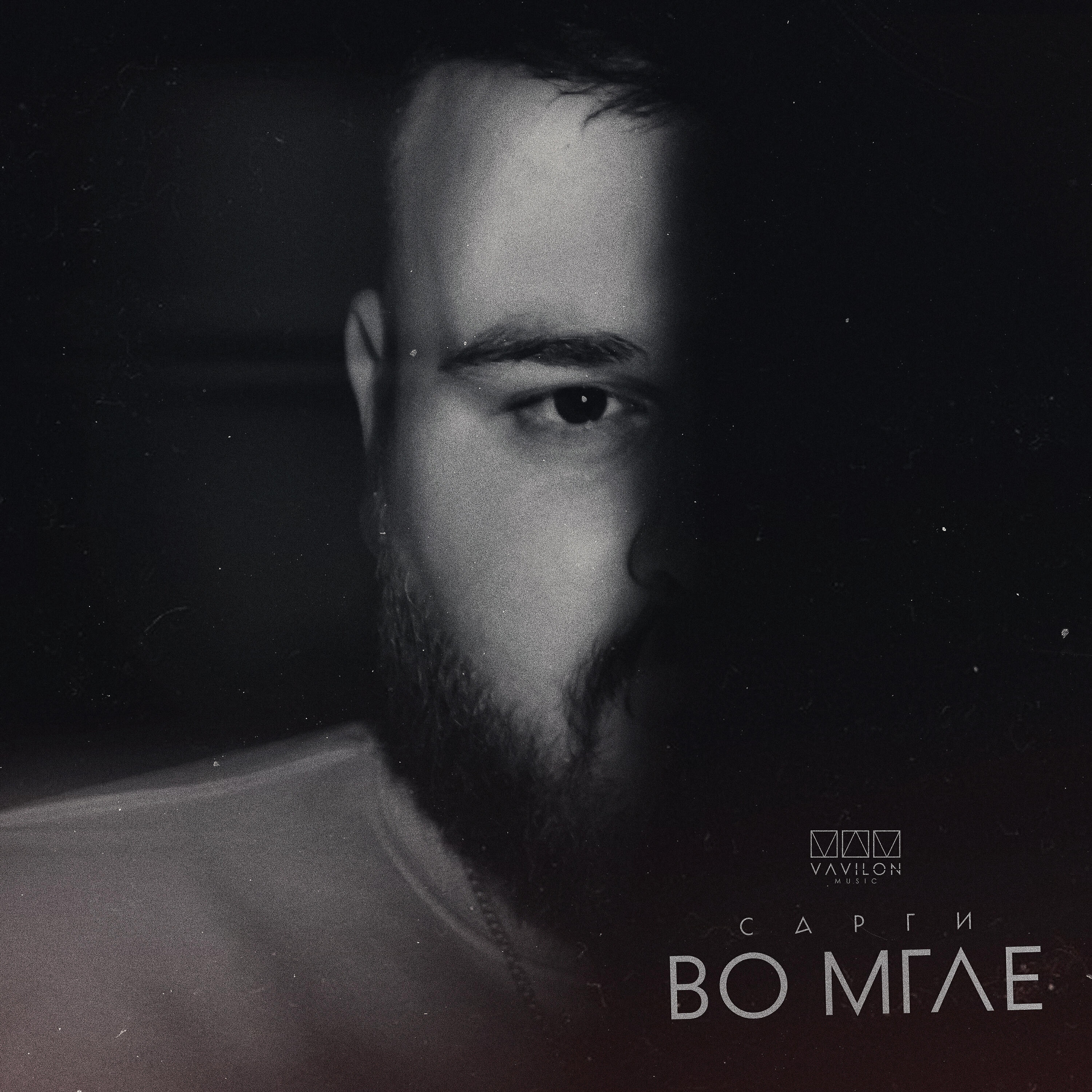 Релиз Во мгле