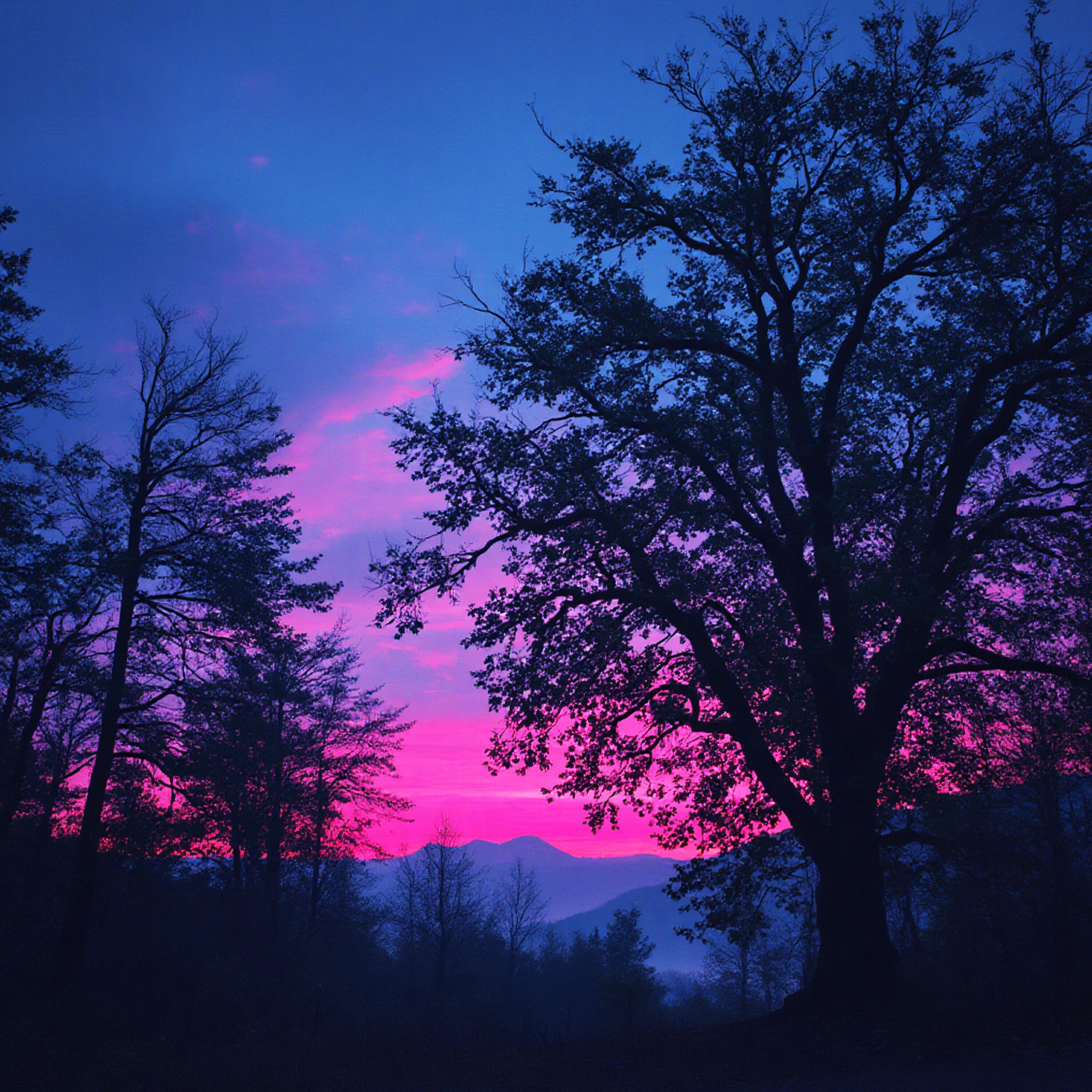 Релиз Sadness
