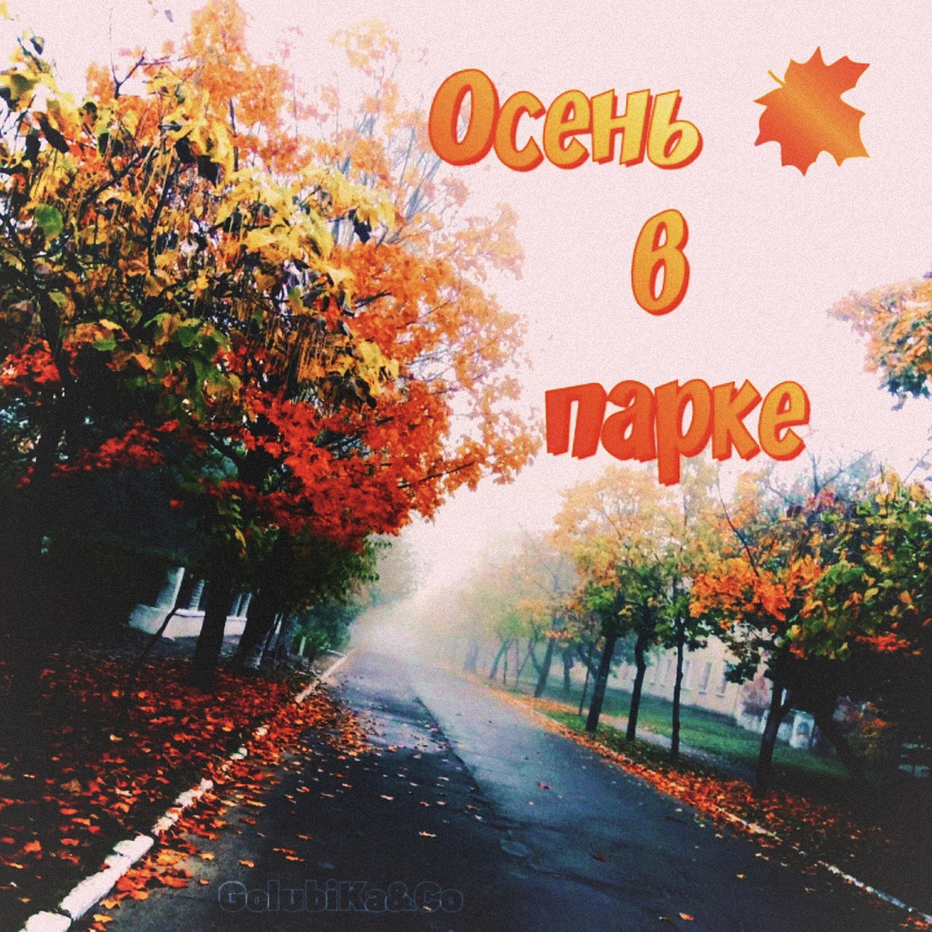 Релиз Осень в парке