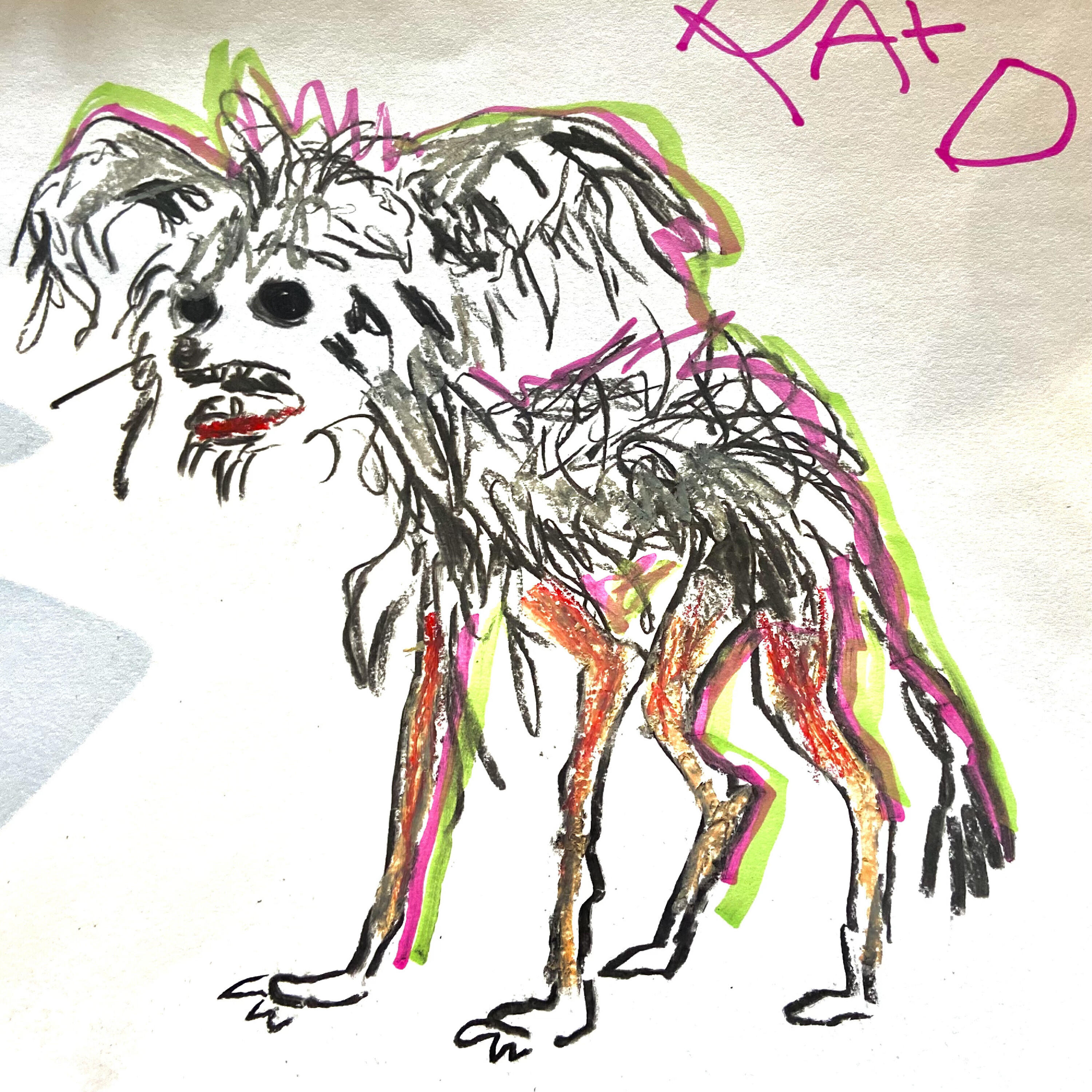 Релиз A Weird Little Dog