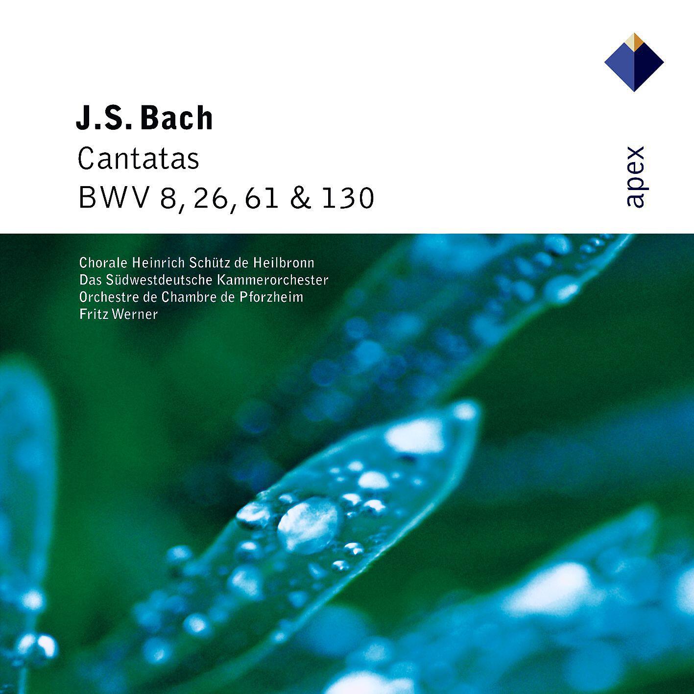 Fritz Werner & Pforzheim Chamber Orchestra