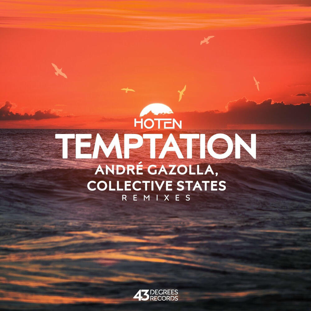 Релиз Temptation Remixes