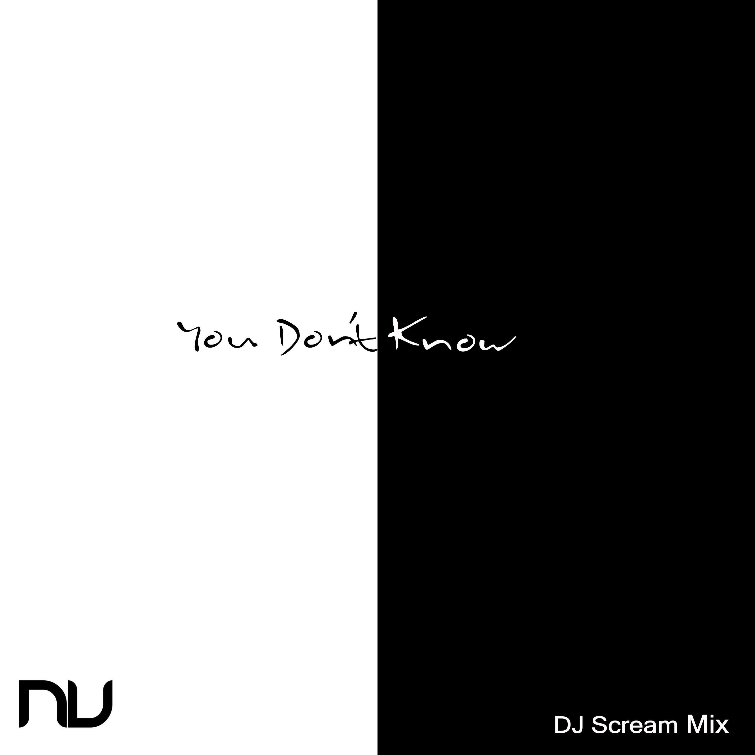 Релиз You Don't Know (DJ Scream Mix)