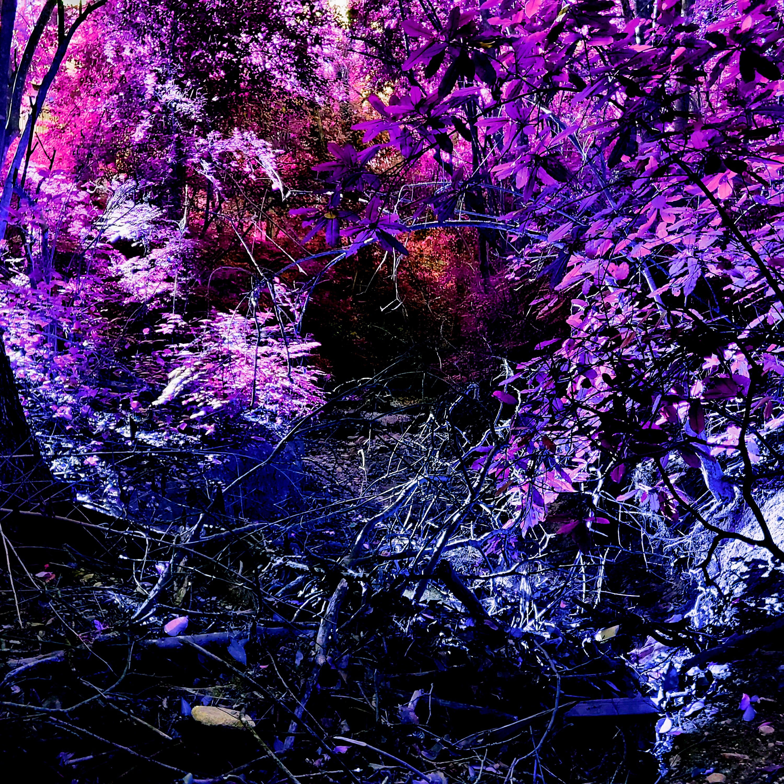 Релиз Keep It Cold