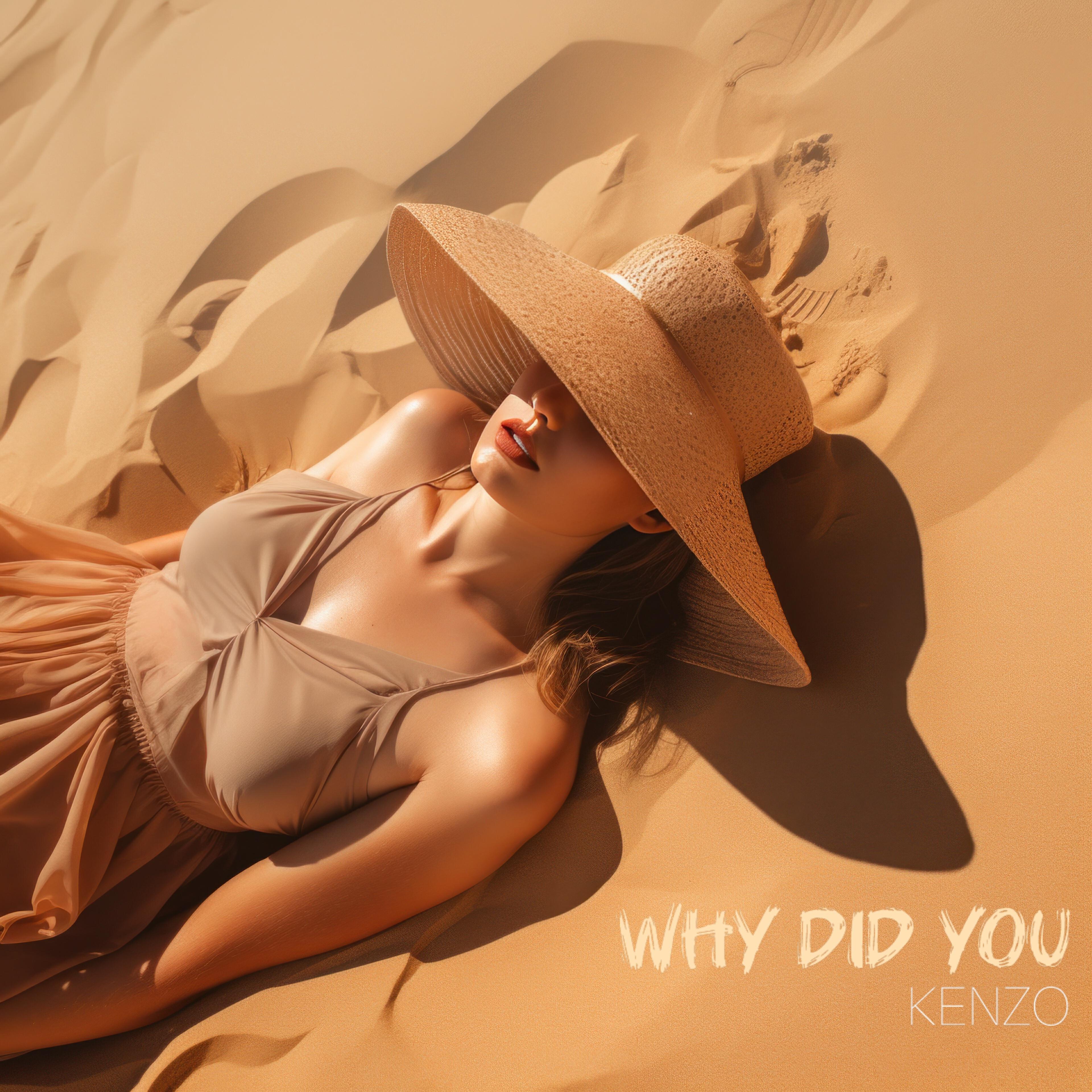 Релиз Why Did You