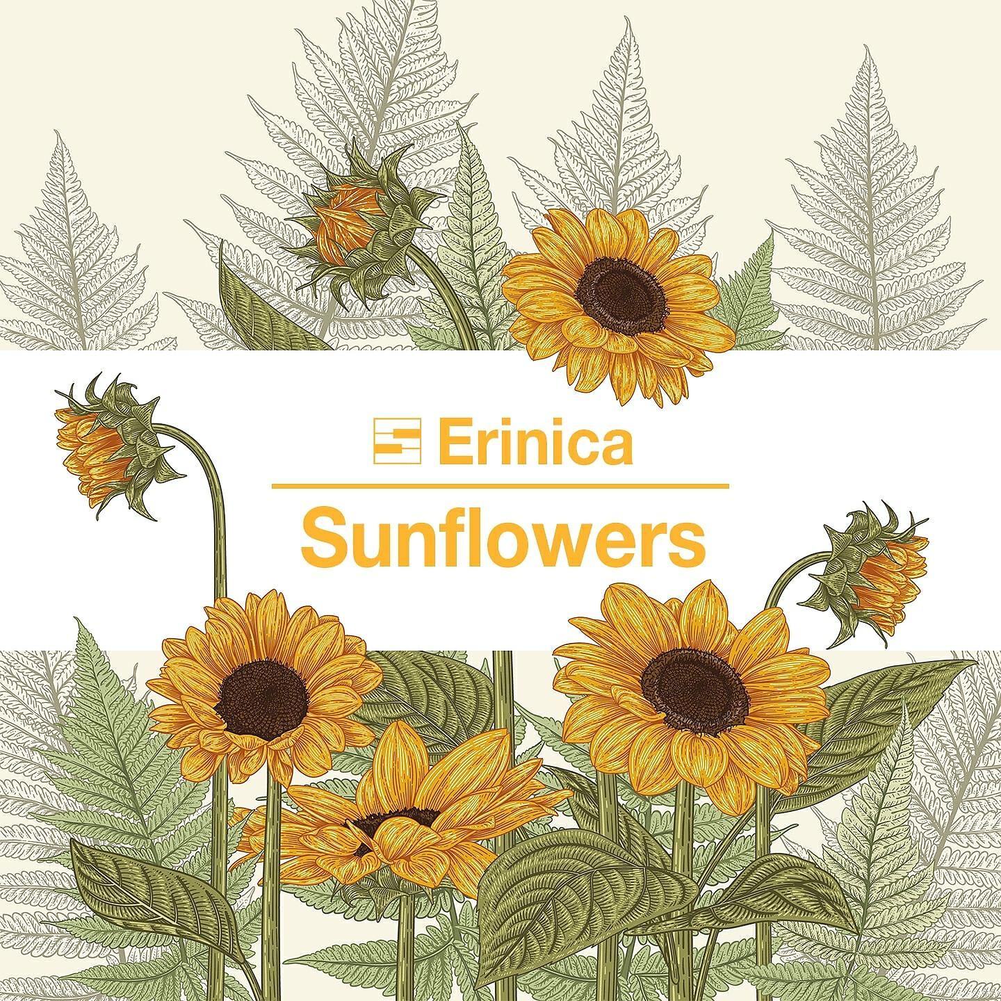 Релиз Sunflowers