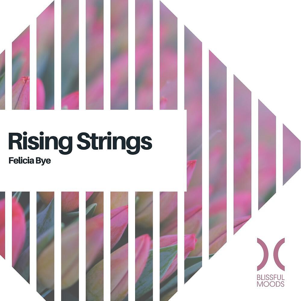 Релиз Rising Strings