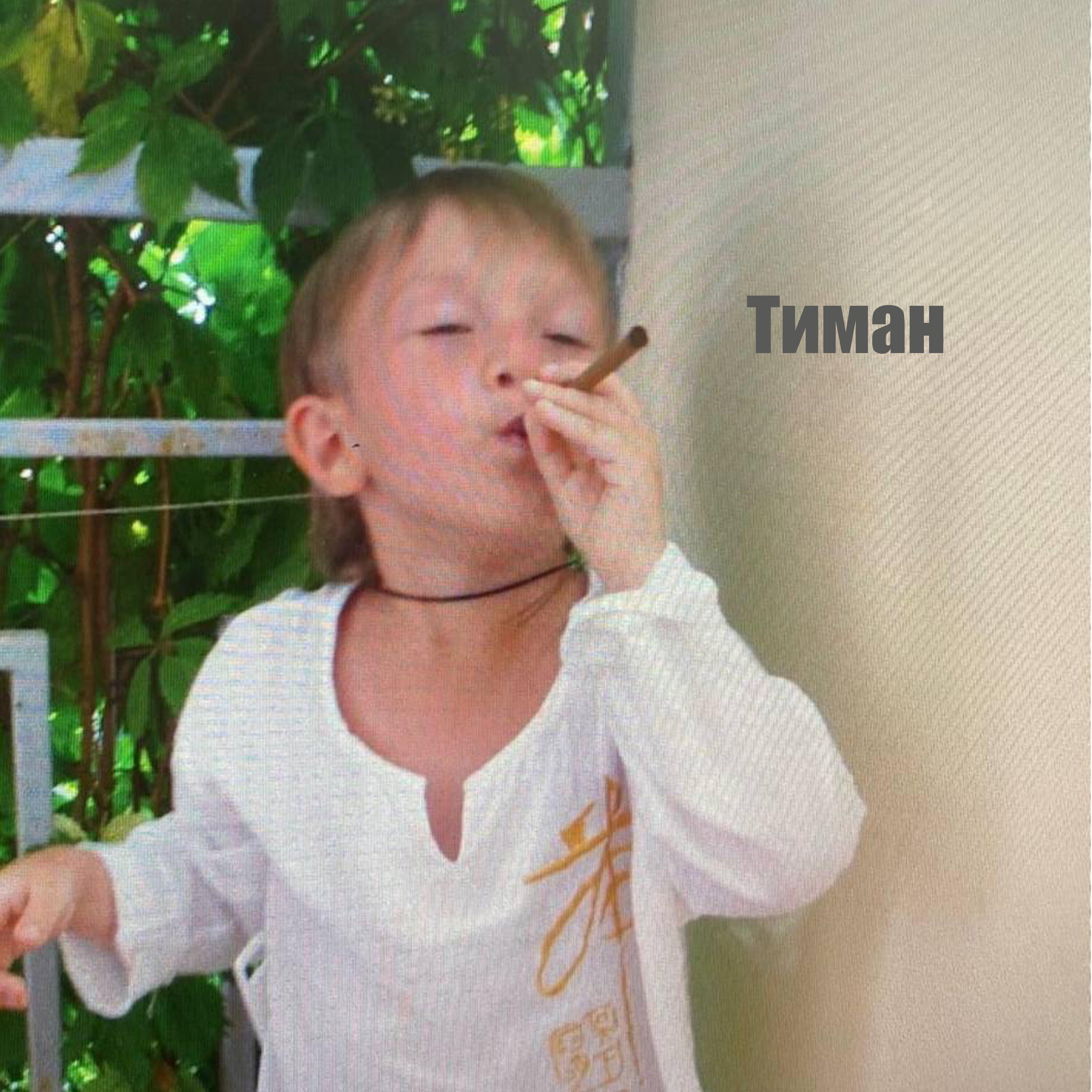 Релиз Тиман
