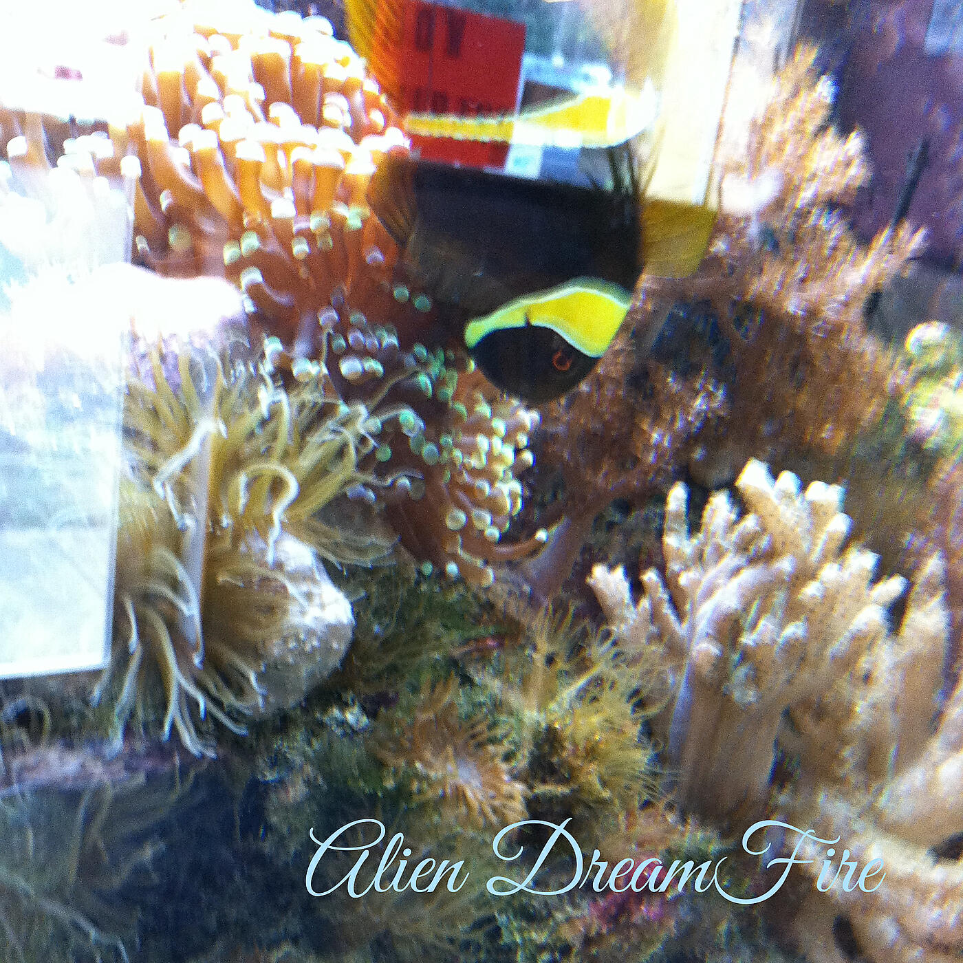 Релиз Alien Dream Fire