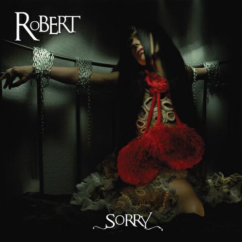 Релиз Sorry