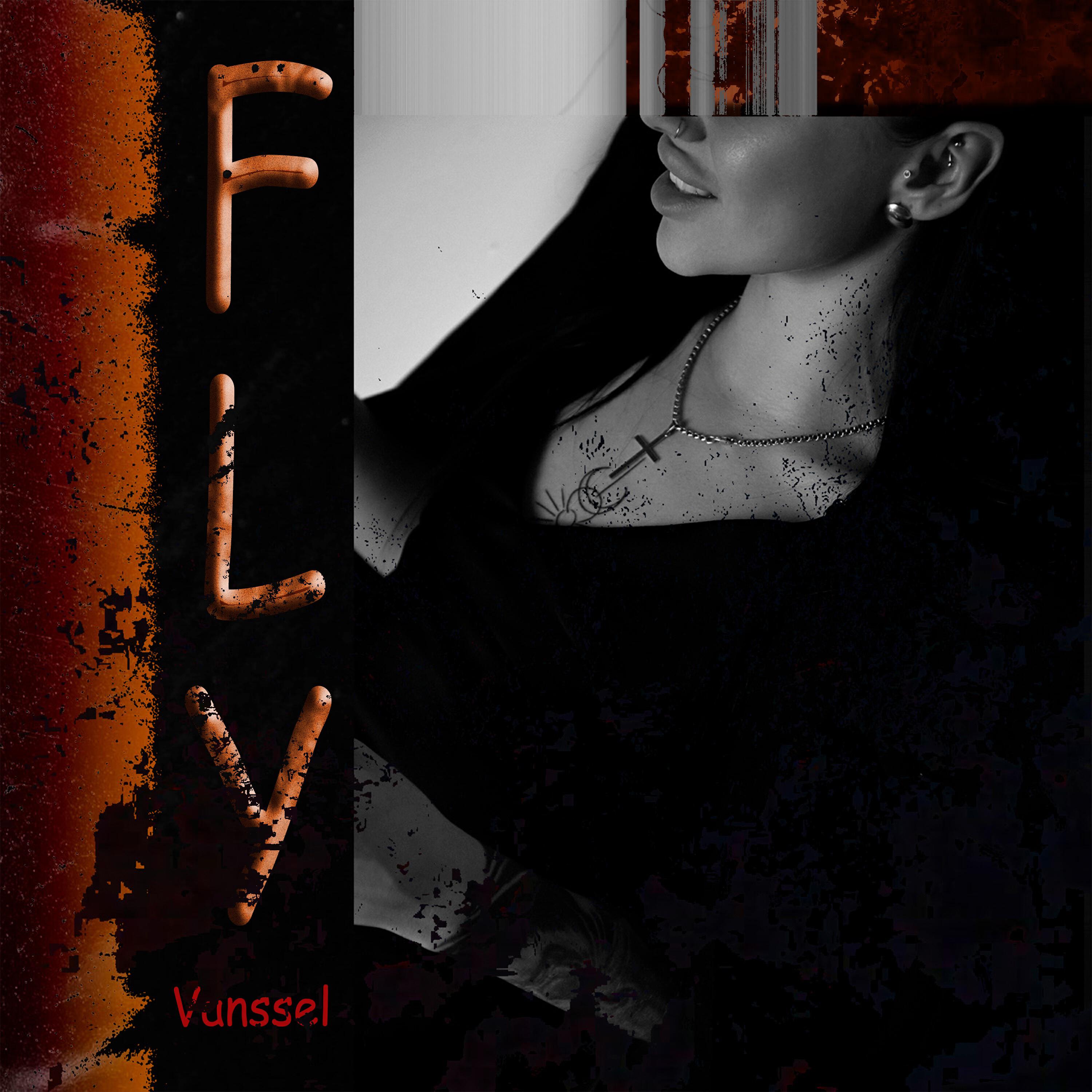 Релиз Fly