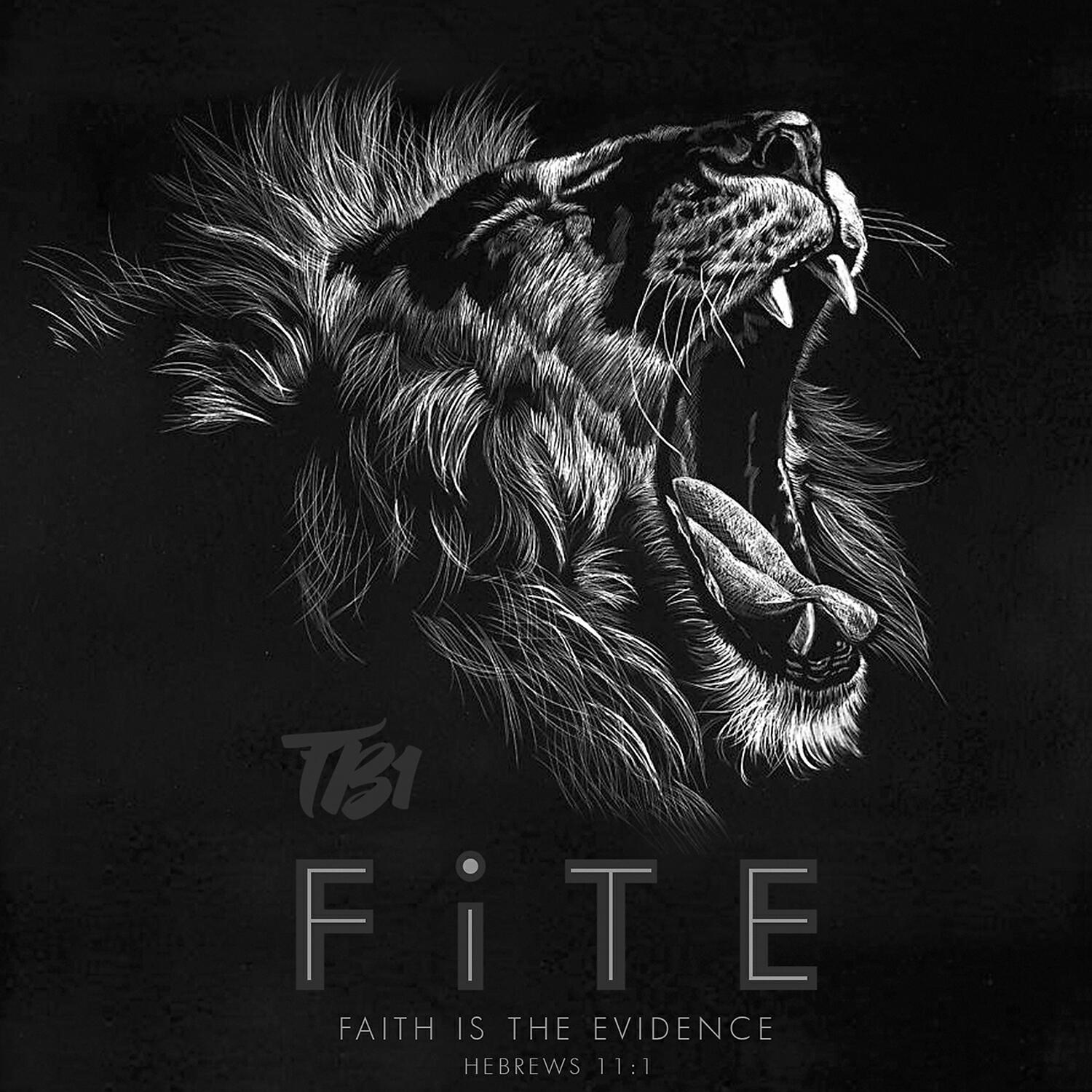 Релиз FiTE