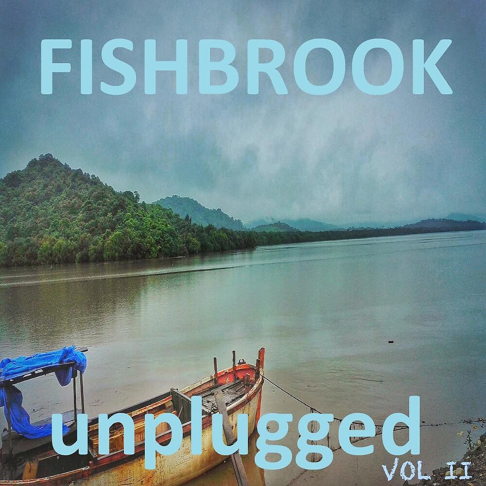 Трек Stranger at My Hometown (Unplugged)