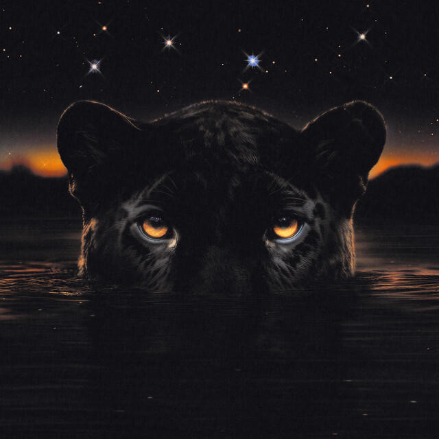 Релиз JAGUAR II : Deluxe