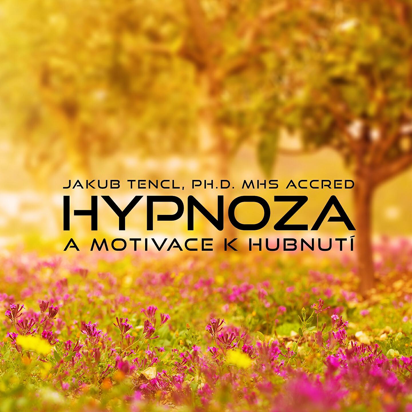 Релиз Hypnoza A Motivace K Hubnutí