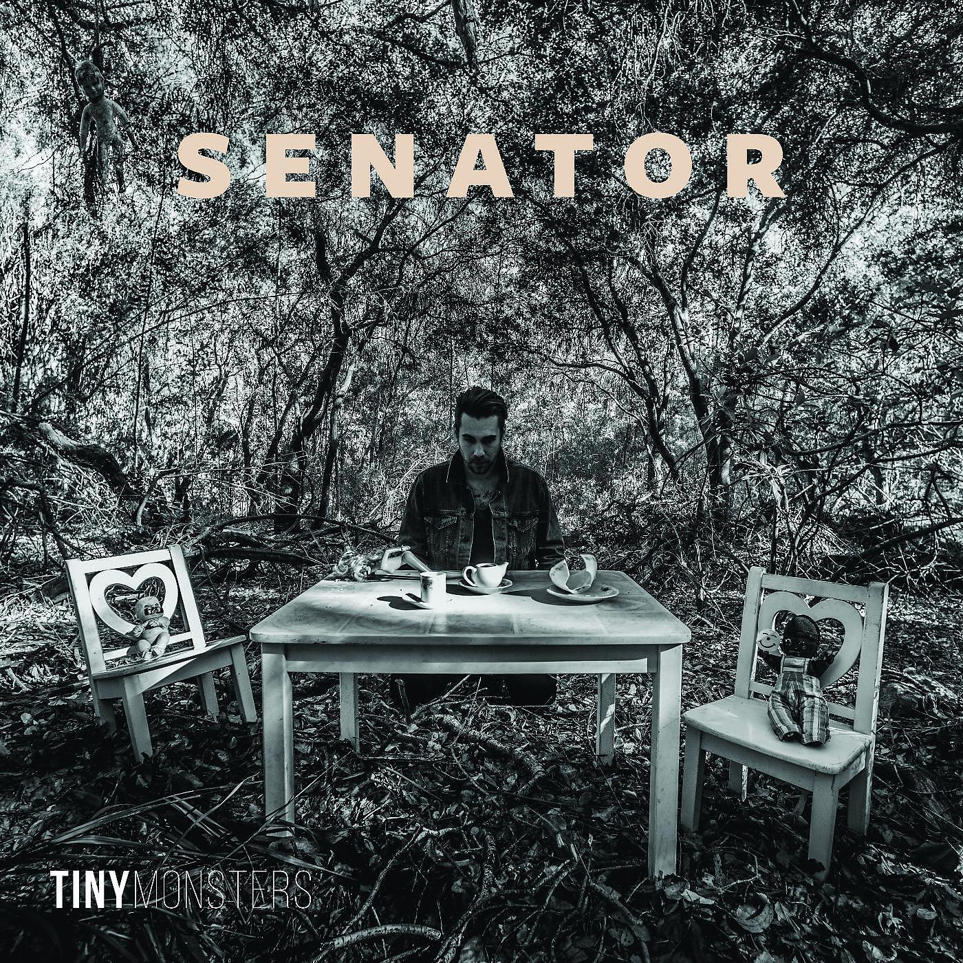 Скачать песню Senator - Picture Perfect бесплатно в MP3 для Android и iOS