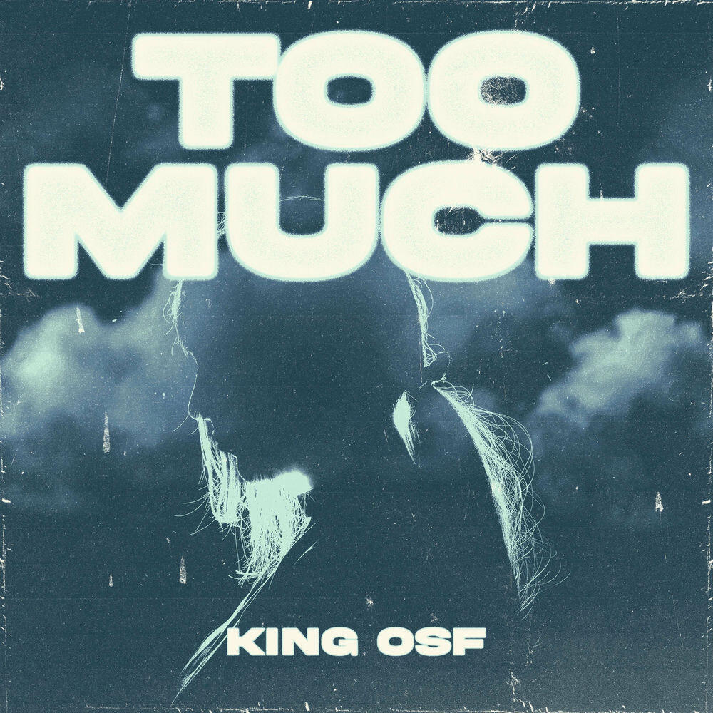 Релиз Too Much