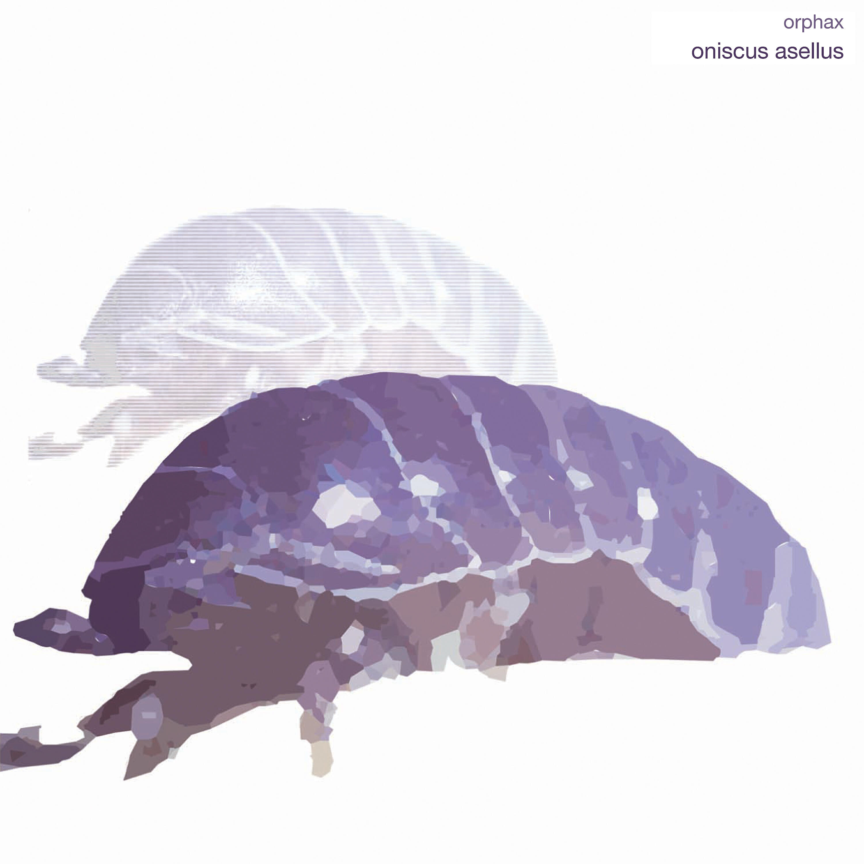 Релиз Oniscus Asellus
