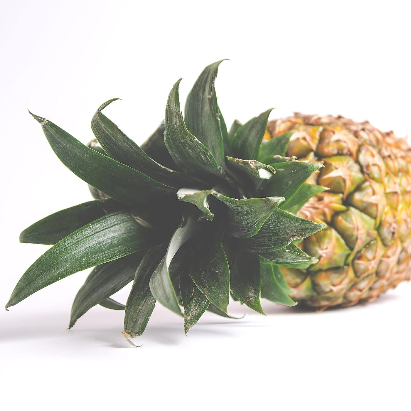 Релиз Pinacolada