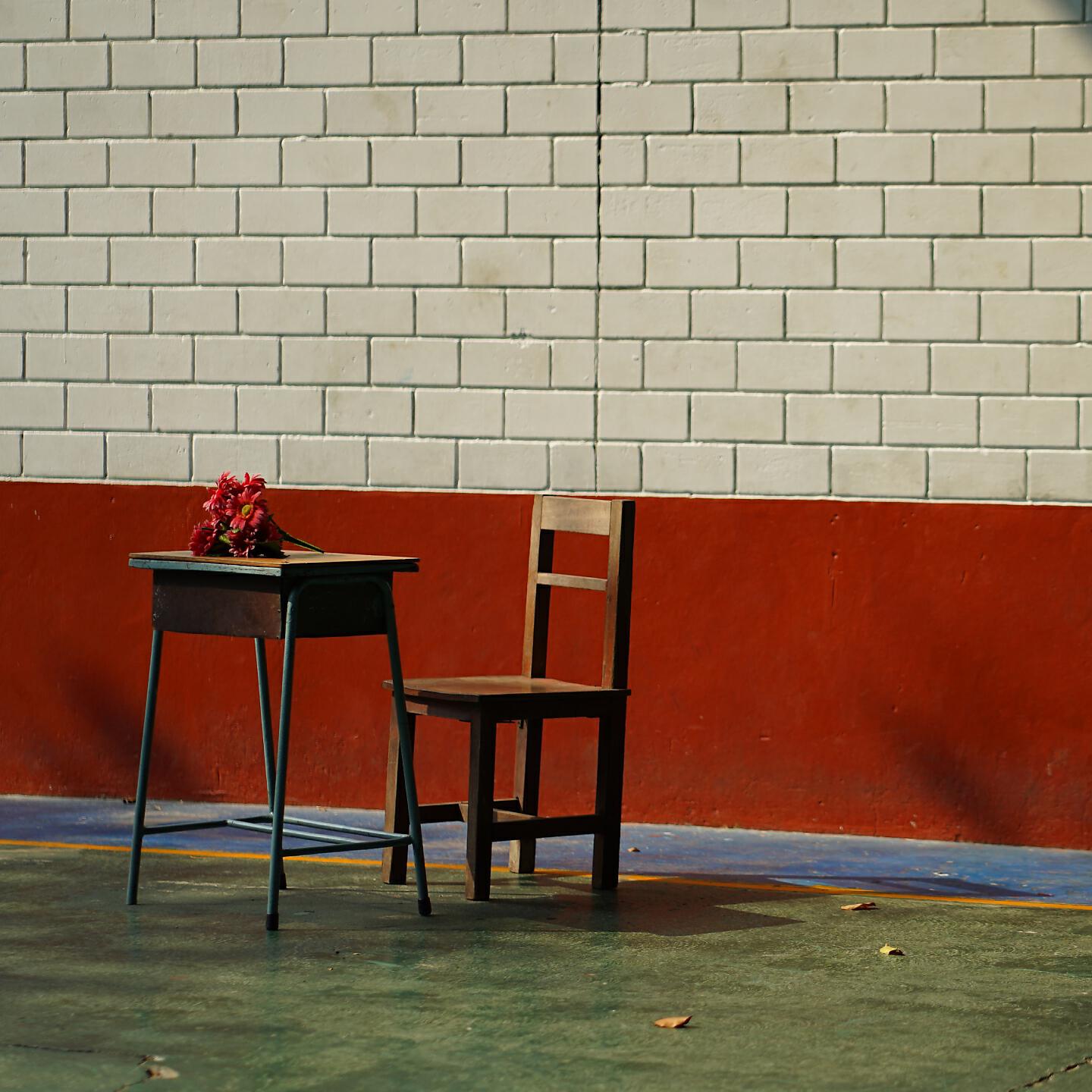 Релиз The Diary
