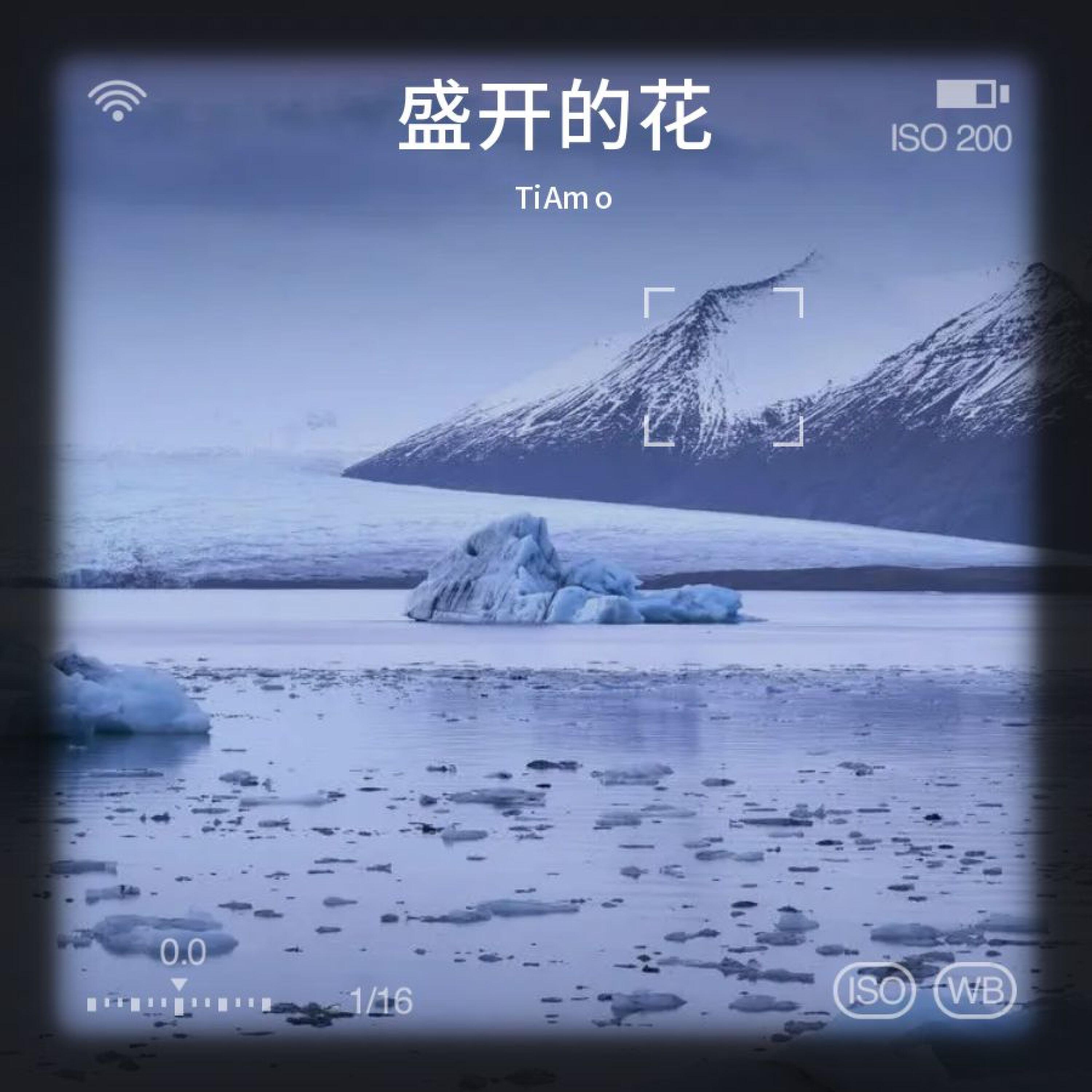 Релиз 盛开的花