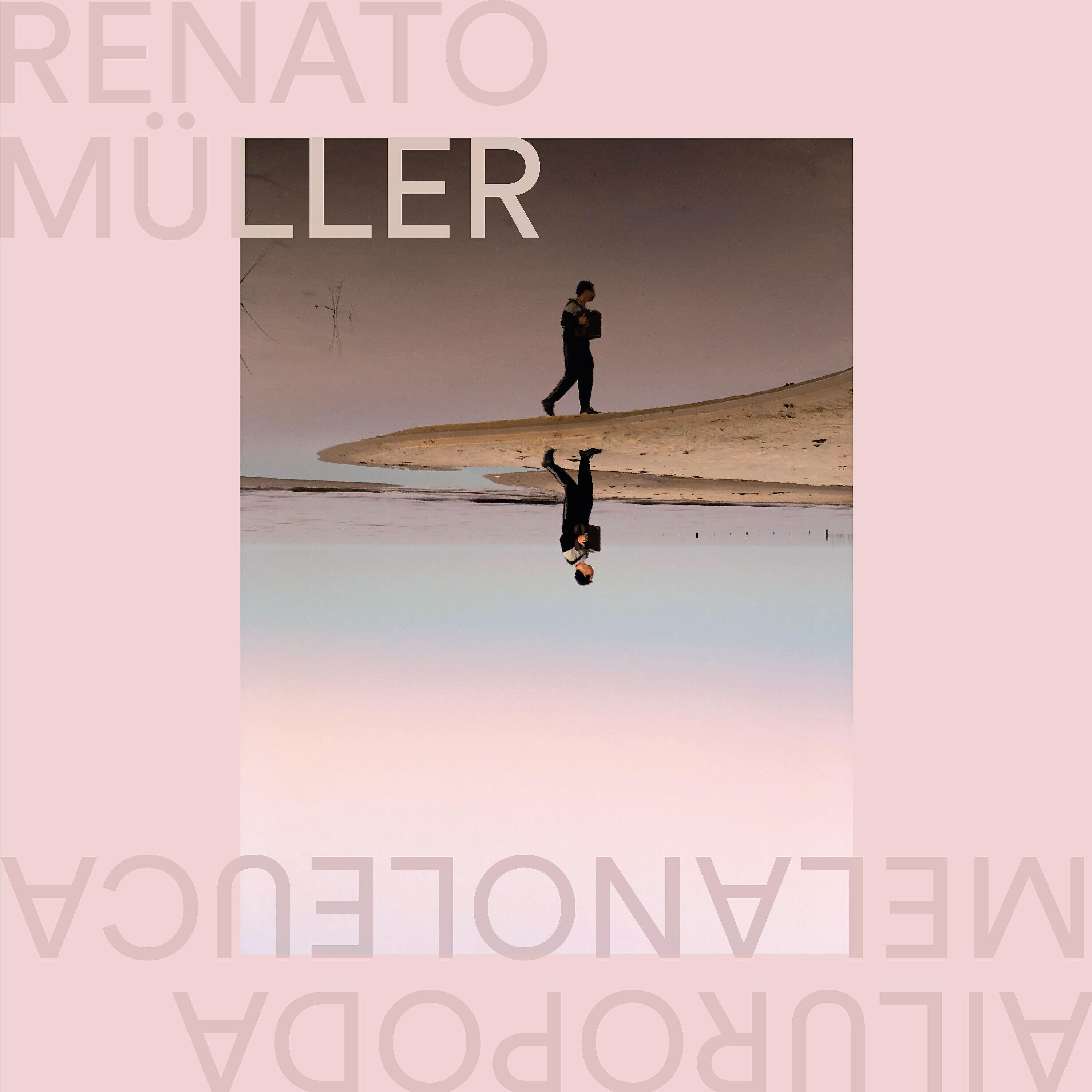 Релиз Melanoleuca