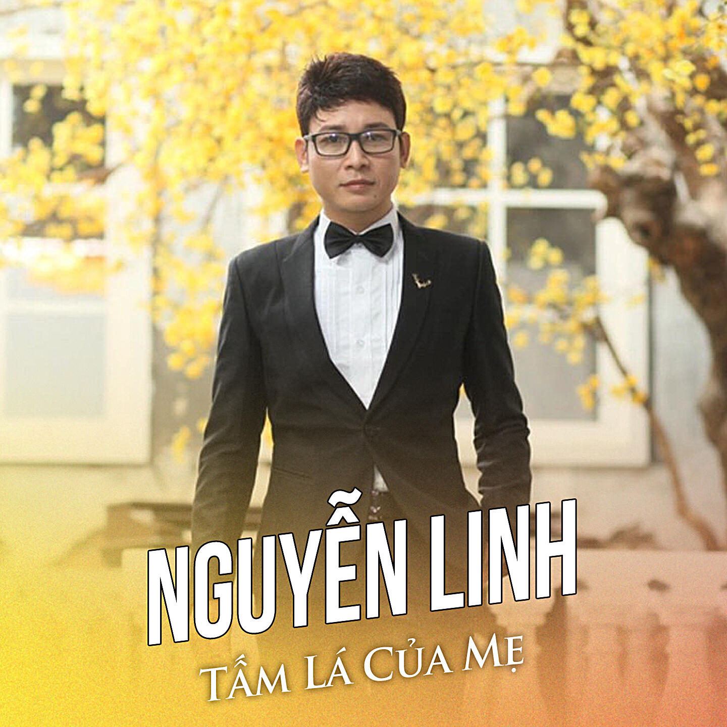Релиз Tấm Lá Của Mẹ