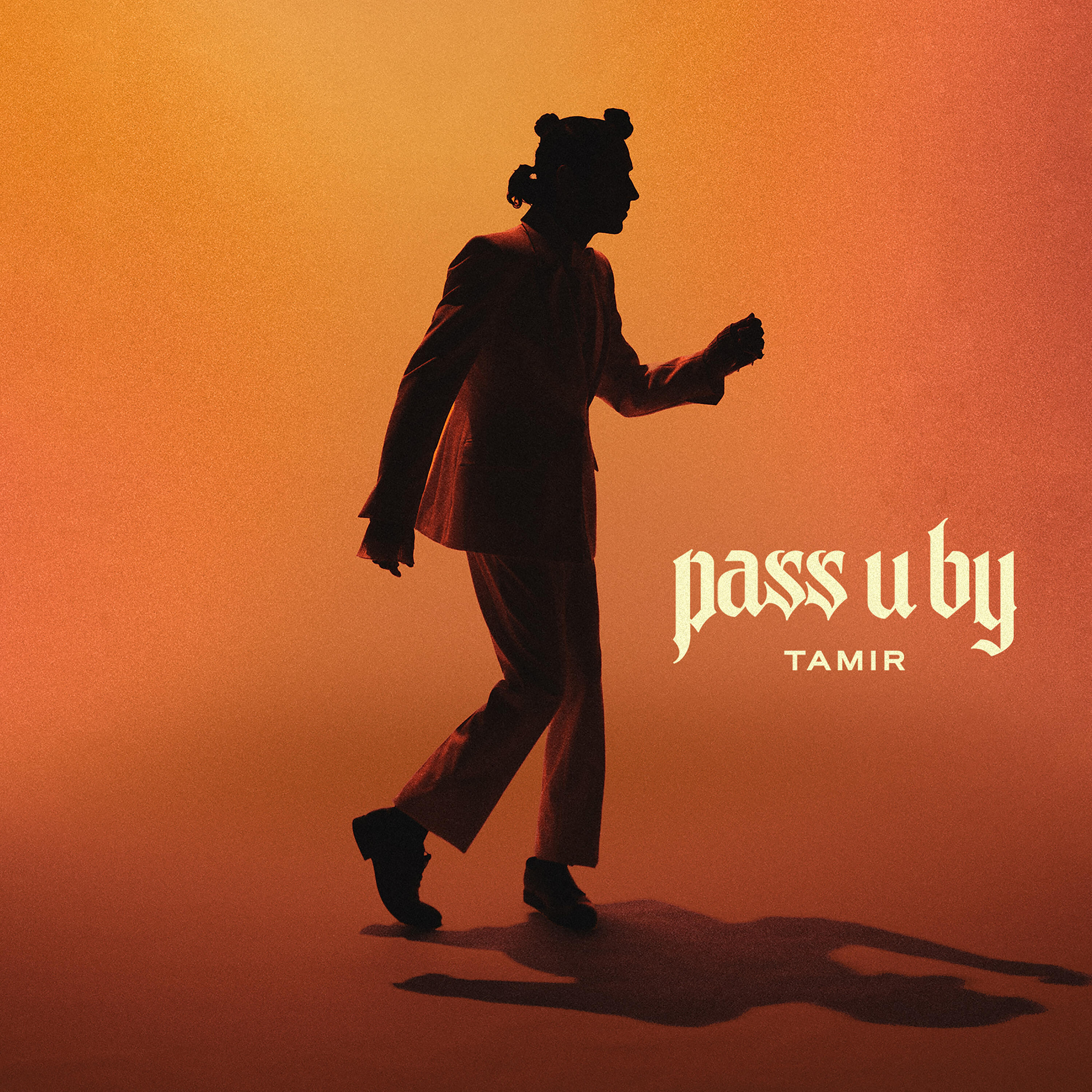 Релиз Pass U By