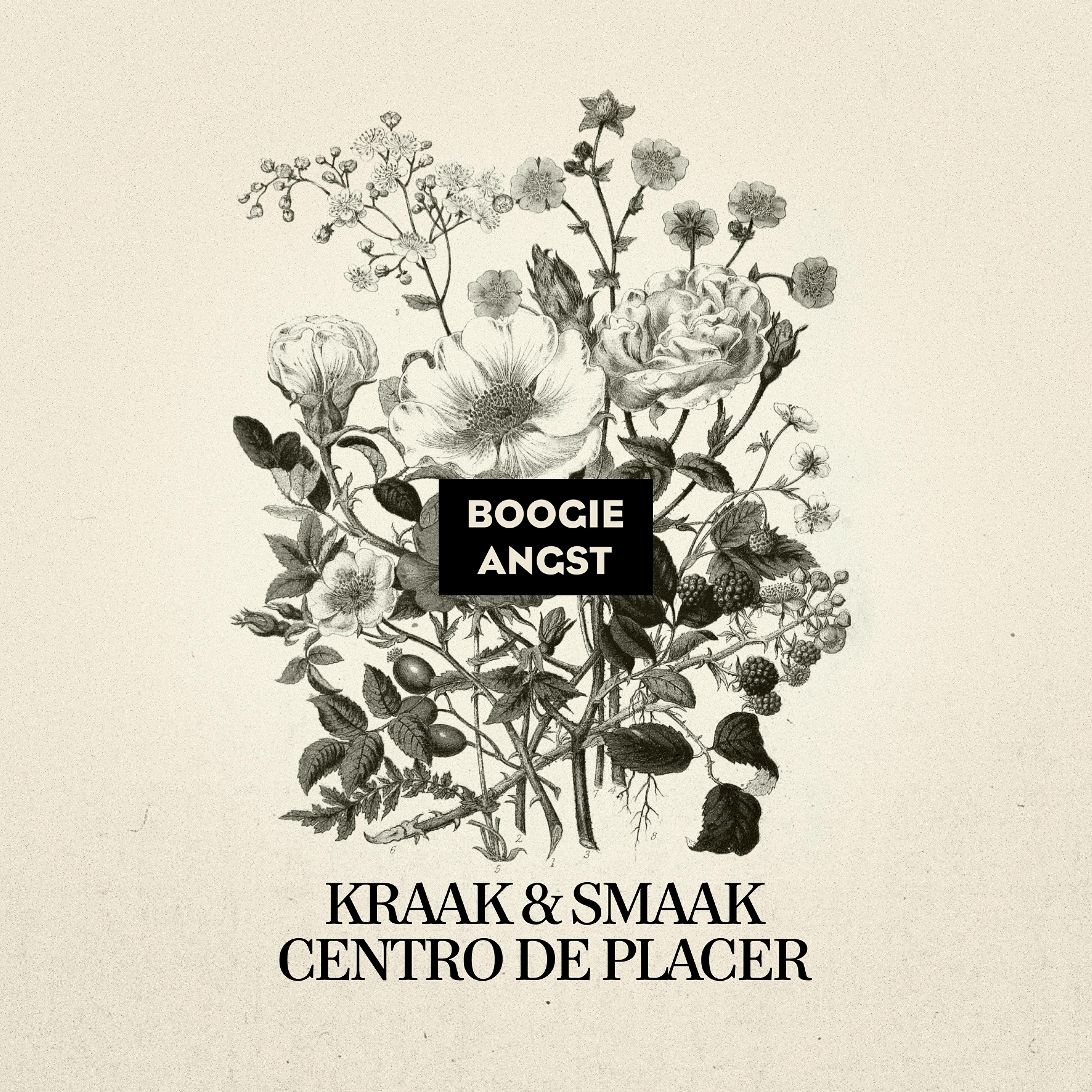 Релиз Centro de Placer