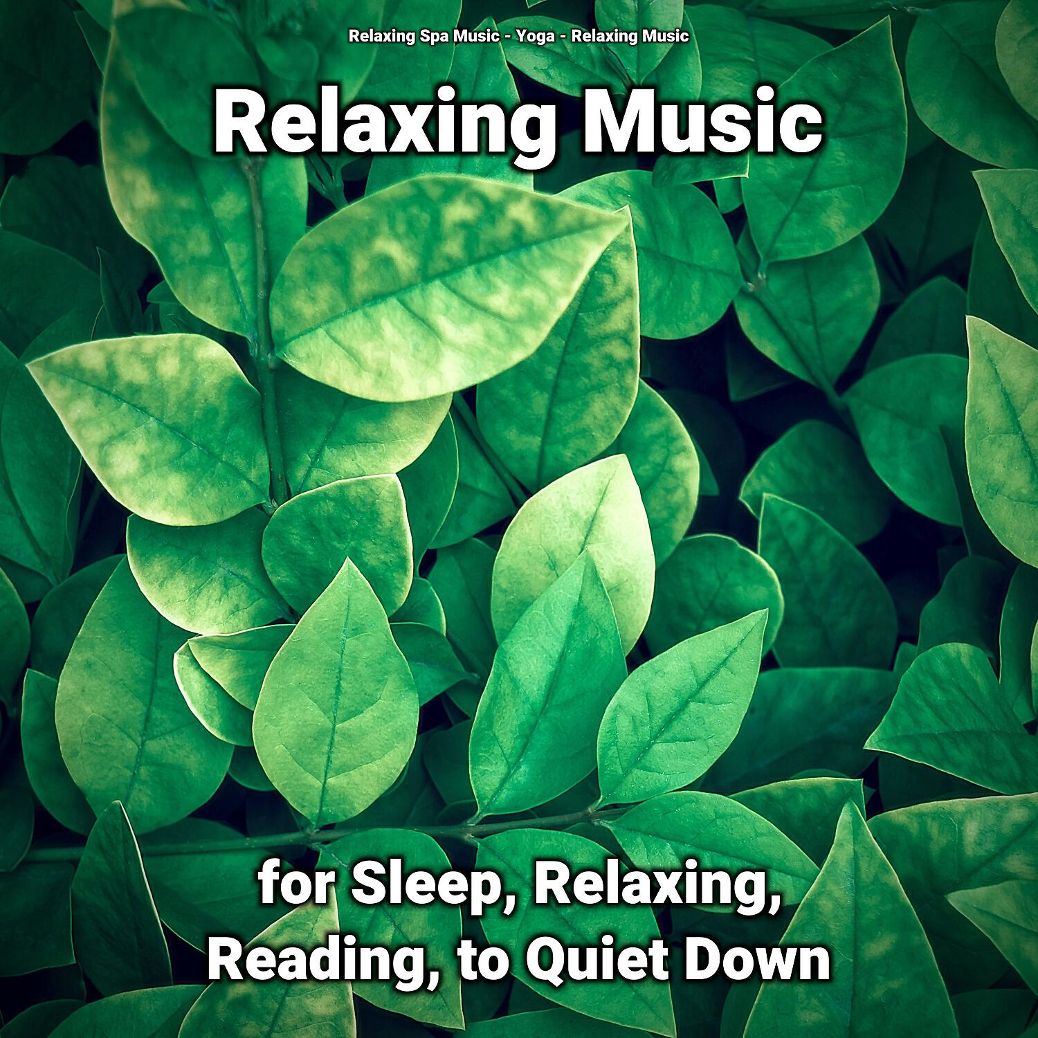 Релиз Relaxing Music for Sleep, Relaxing, Reading, to Quiet Down