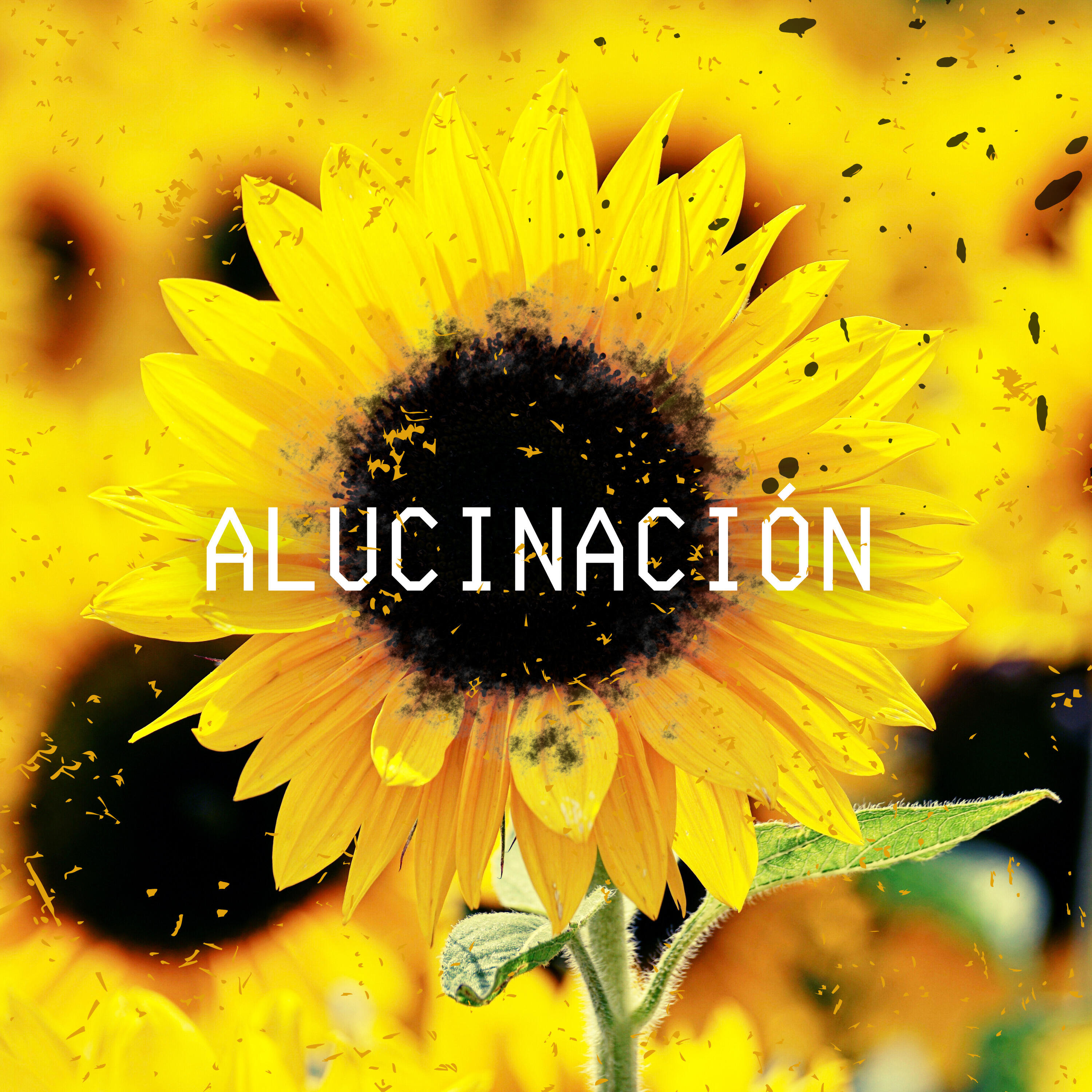Релиз Alucinación