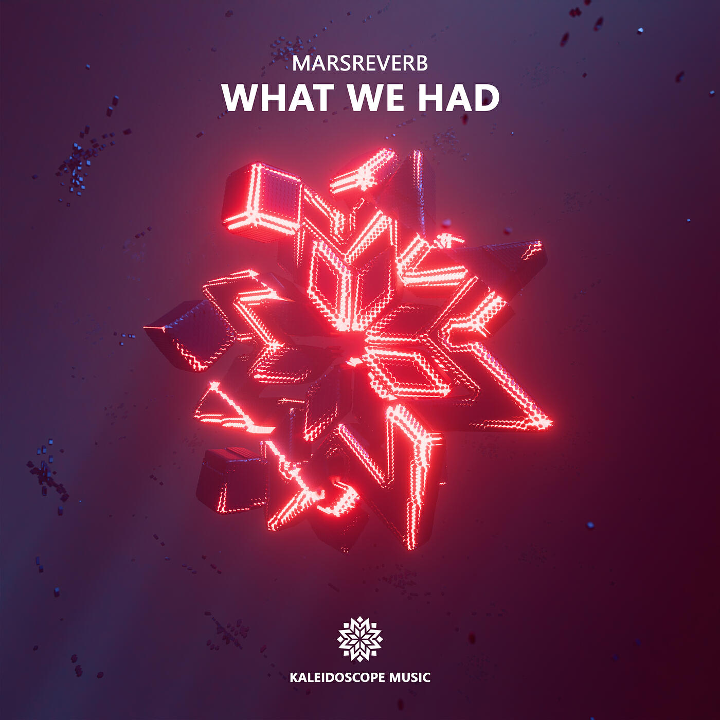Релиз What We Had