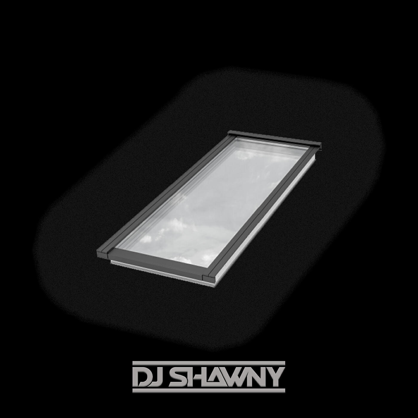 Постер альбома Skylight.