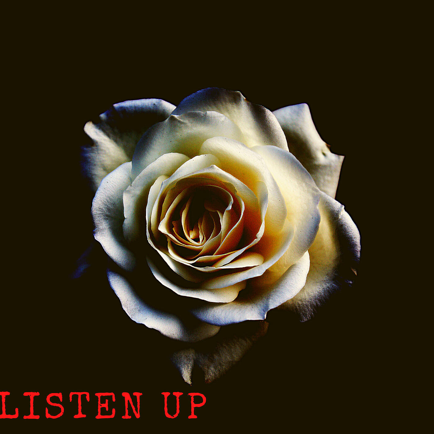 Релиз Listen Up