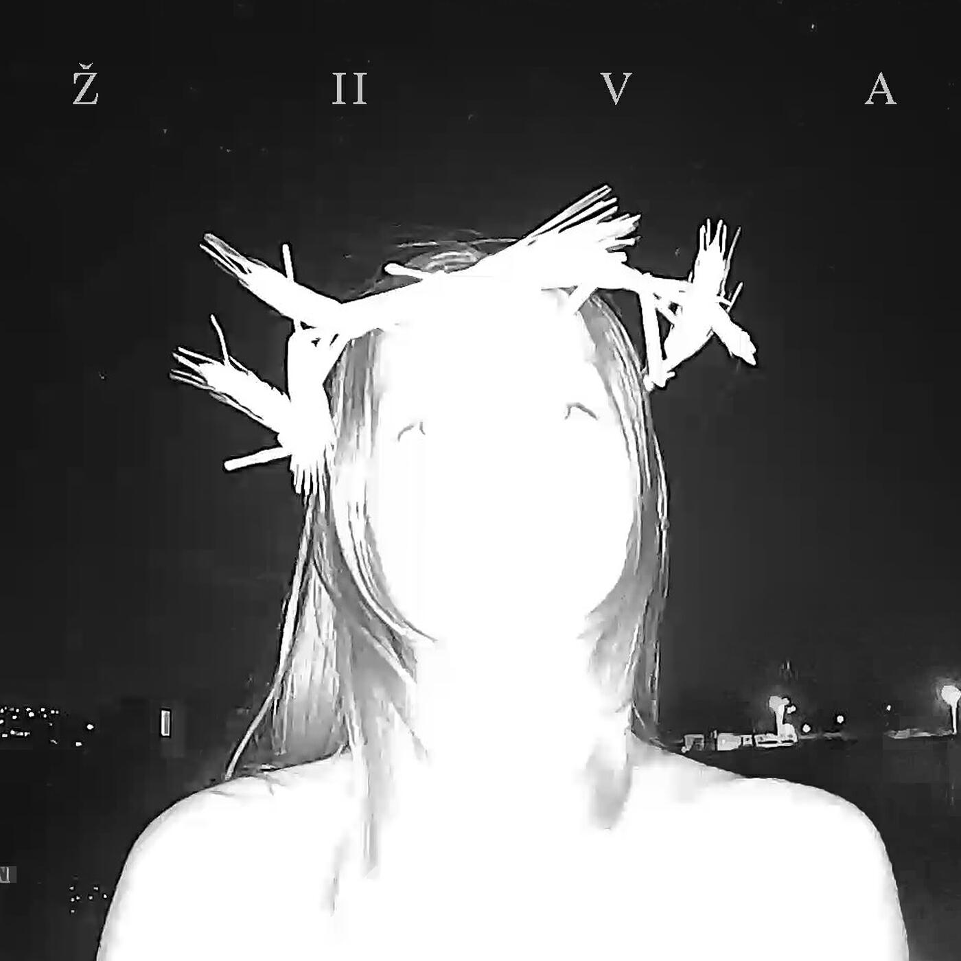 Živa