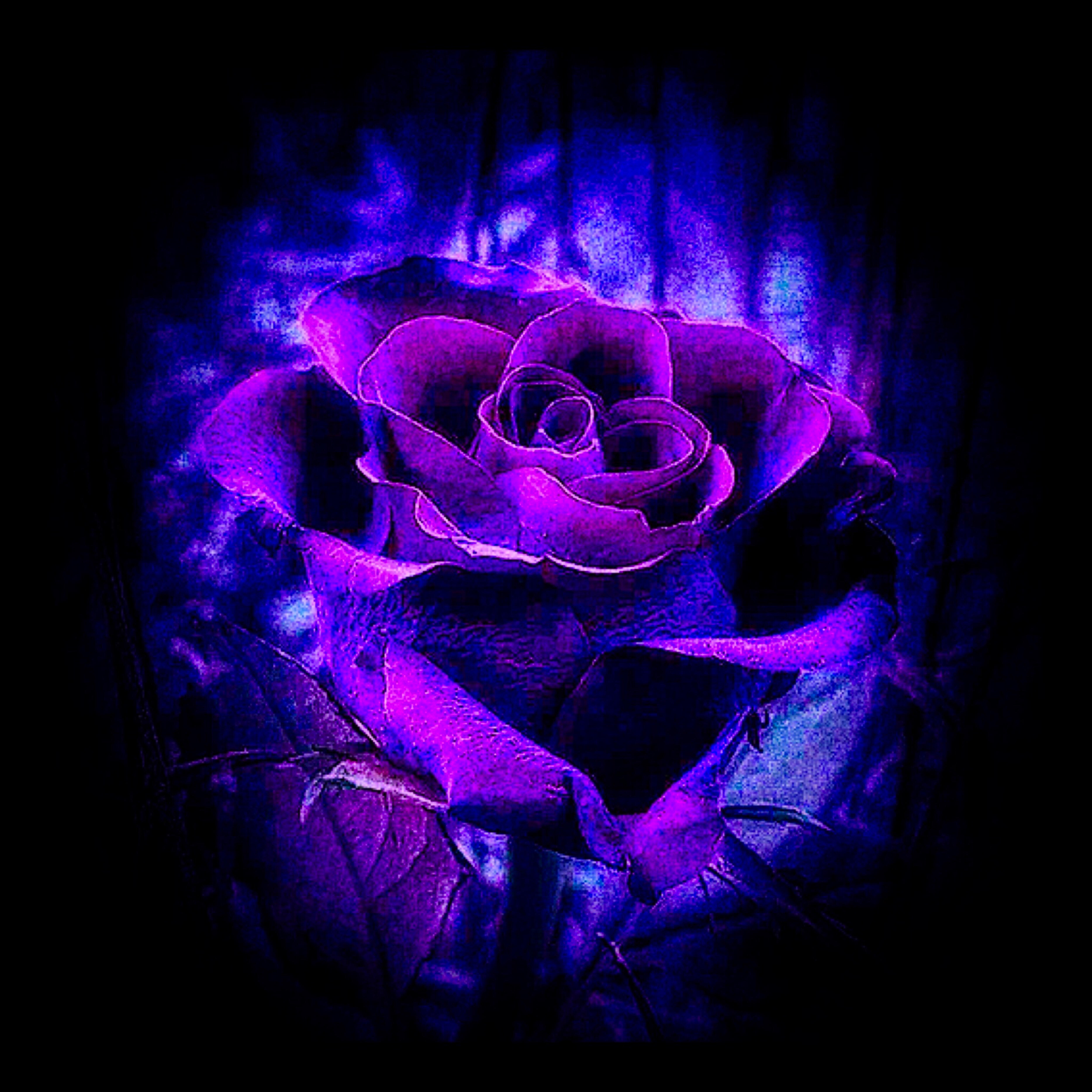 Релиз Flowerz-19