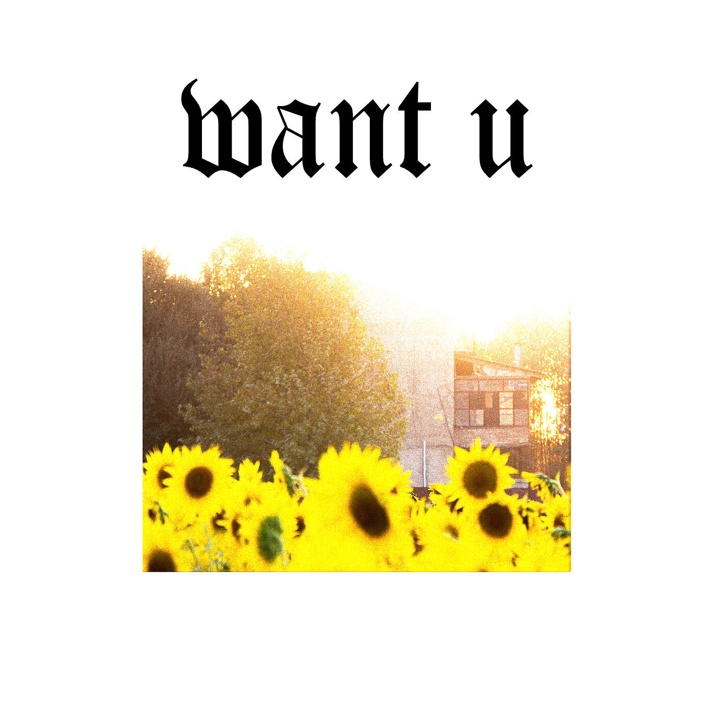 Релиз Want U
