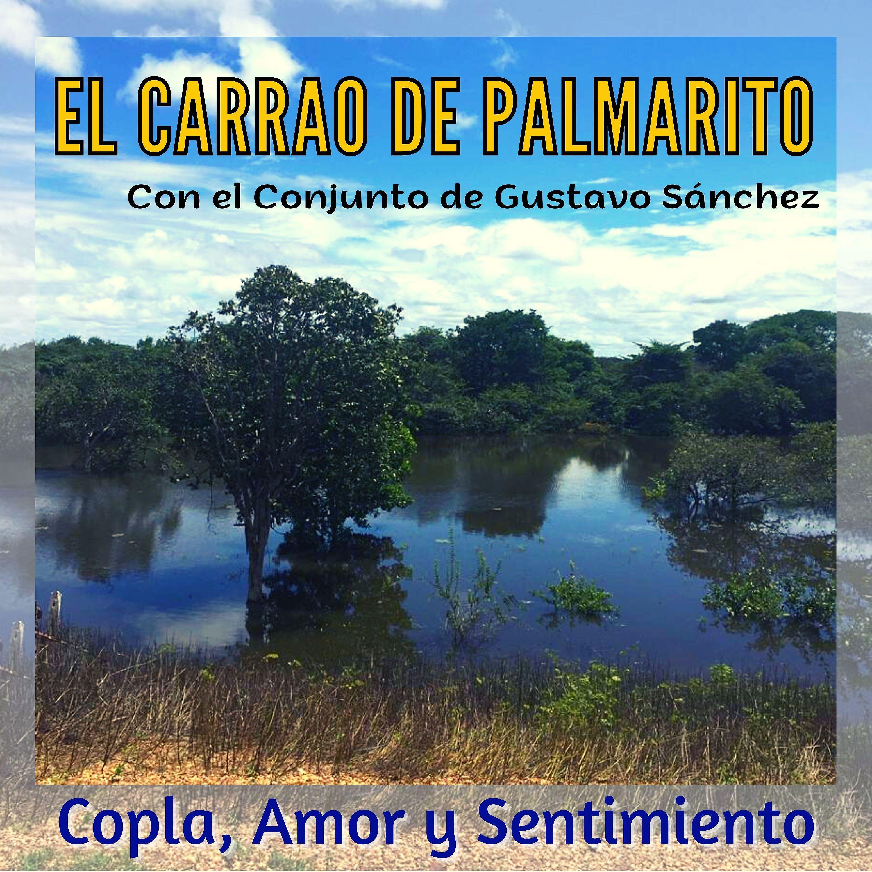 Релиз Copla, Amor y Sentimiento Con el Conjunto de Gustavo Sánchez